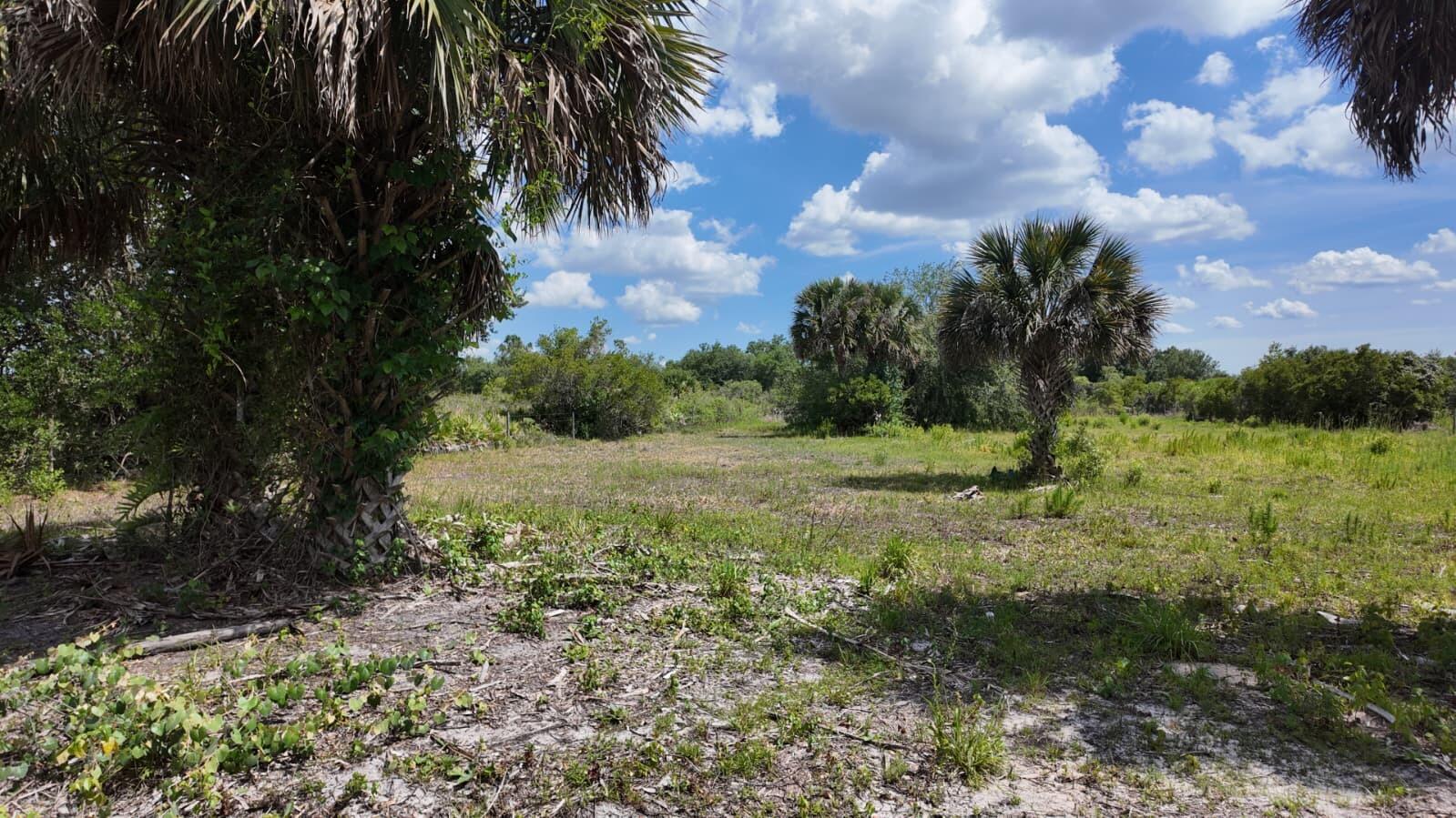 main property photo 7