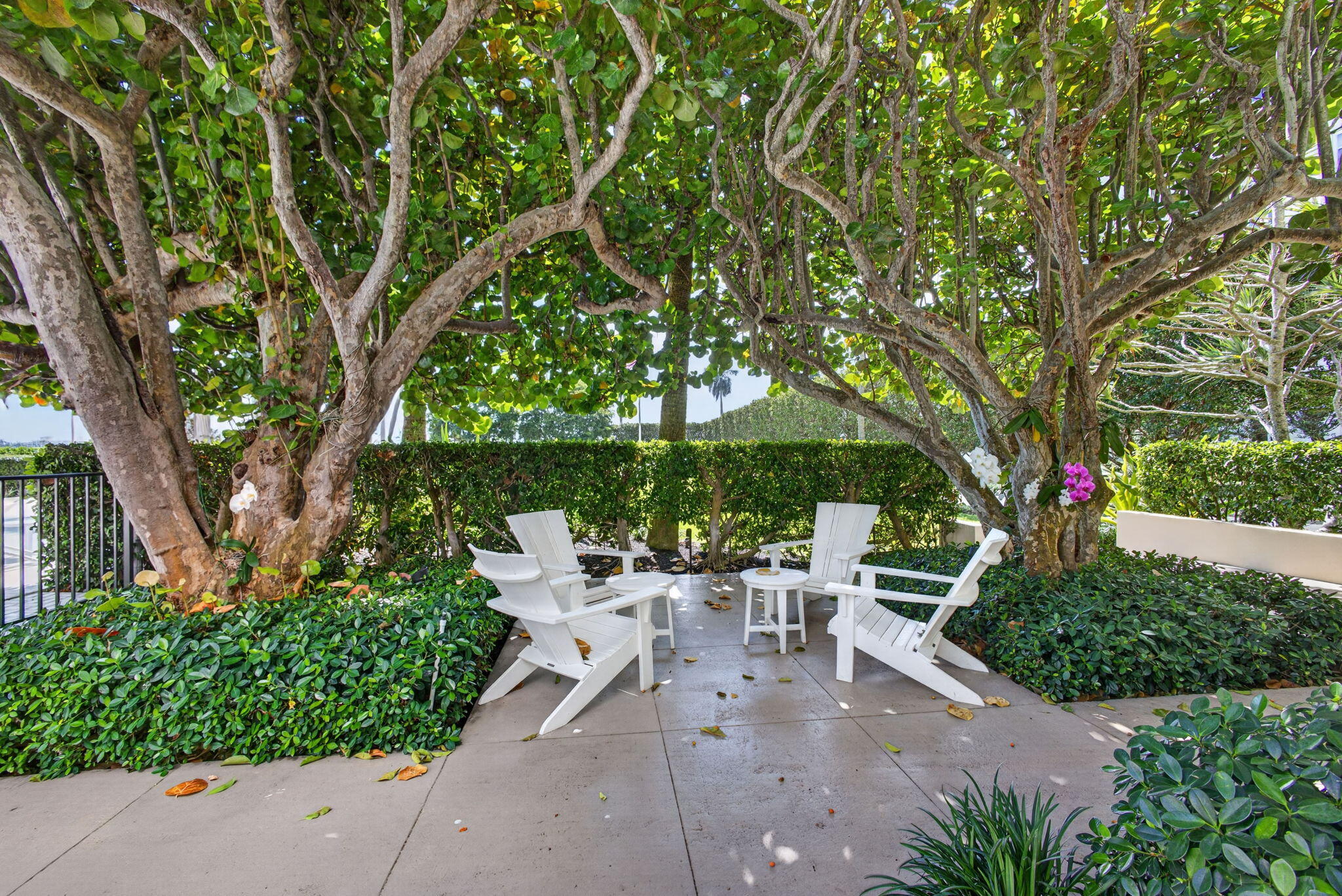 main property photo 50