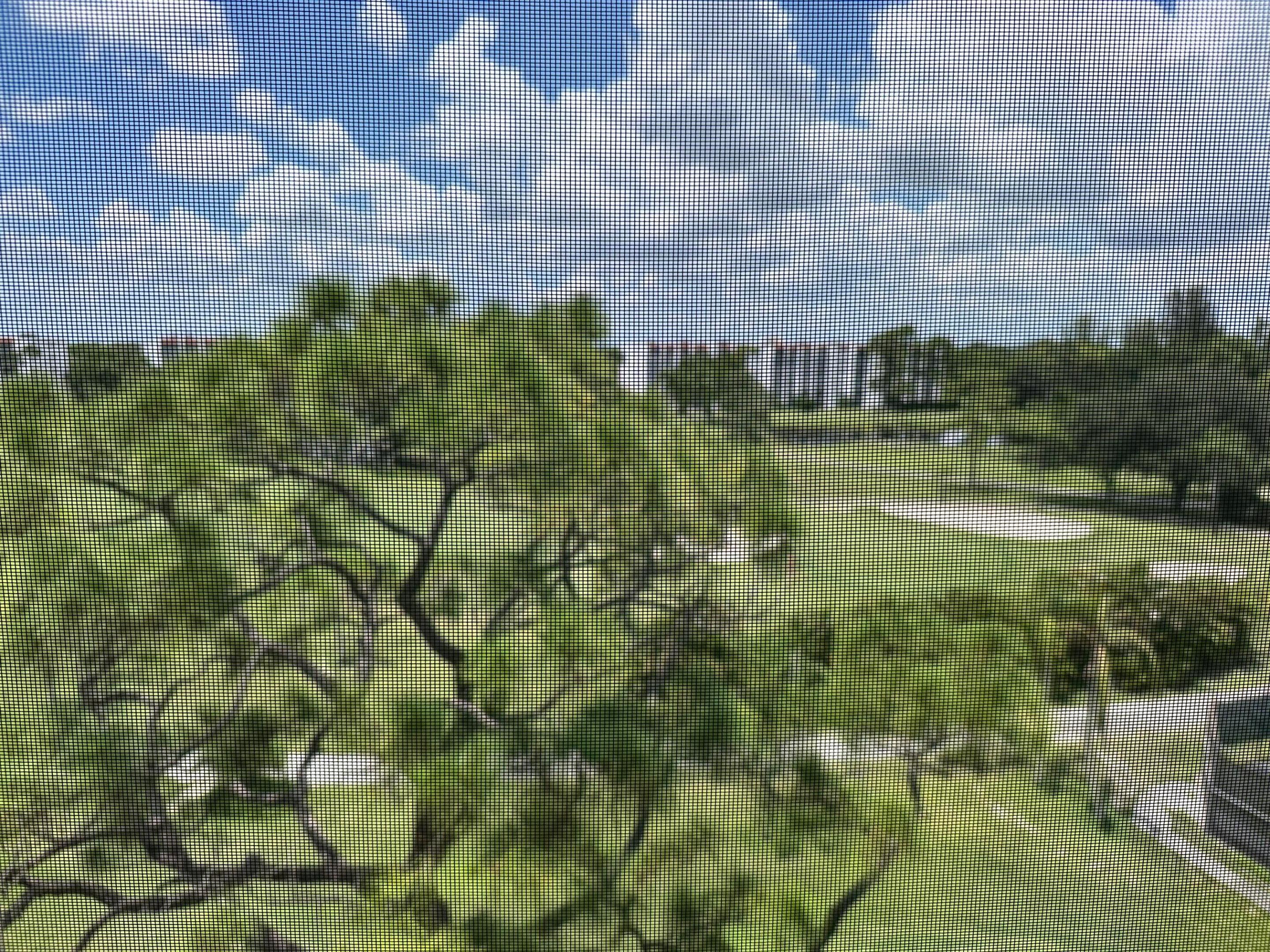 main property photo 33