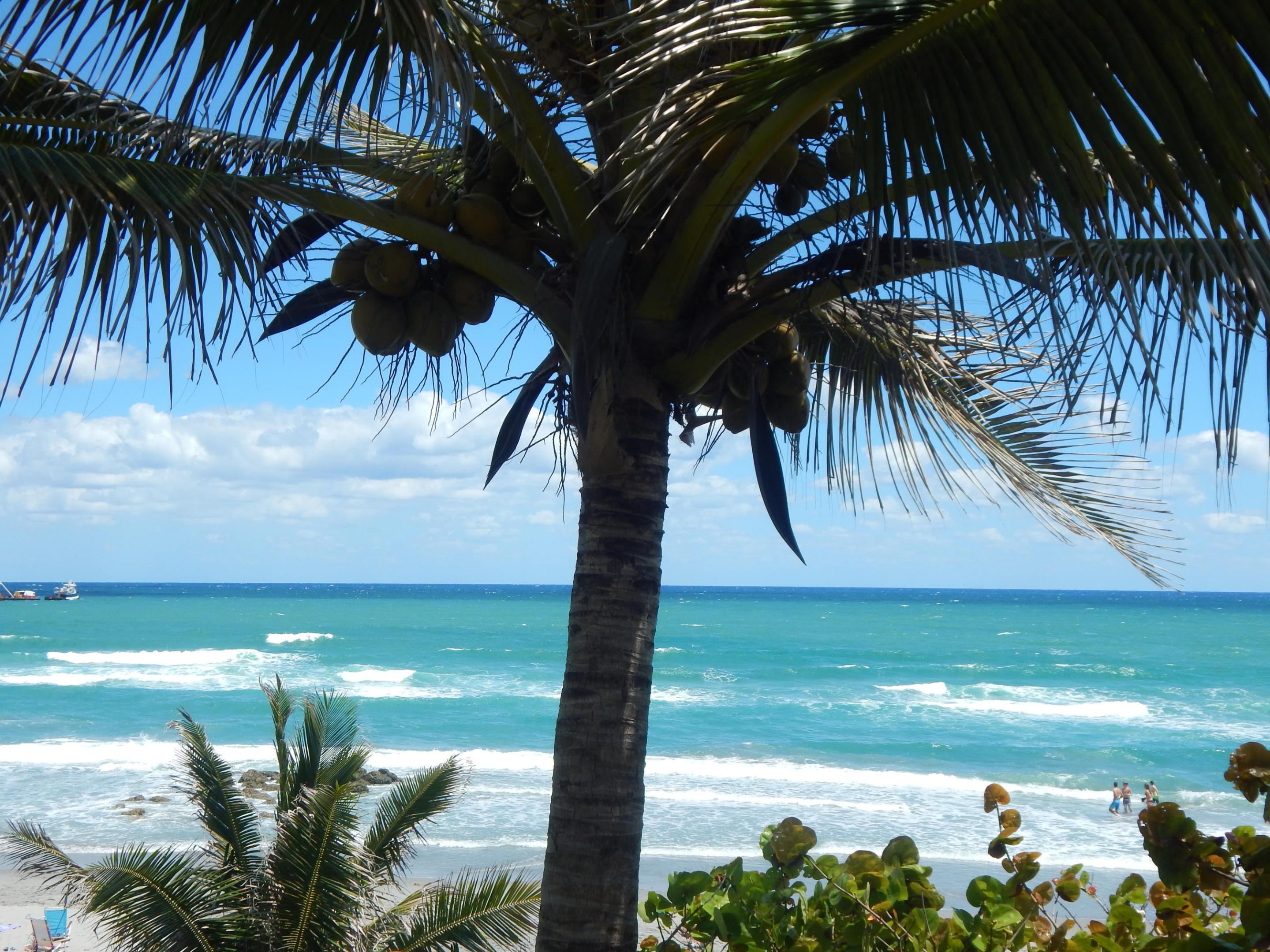 property viewer photo 55