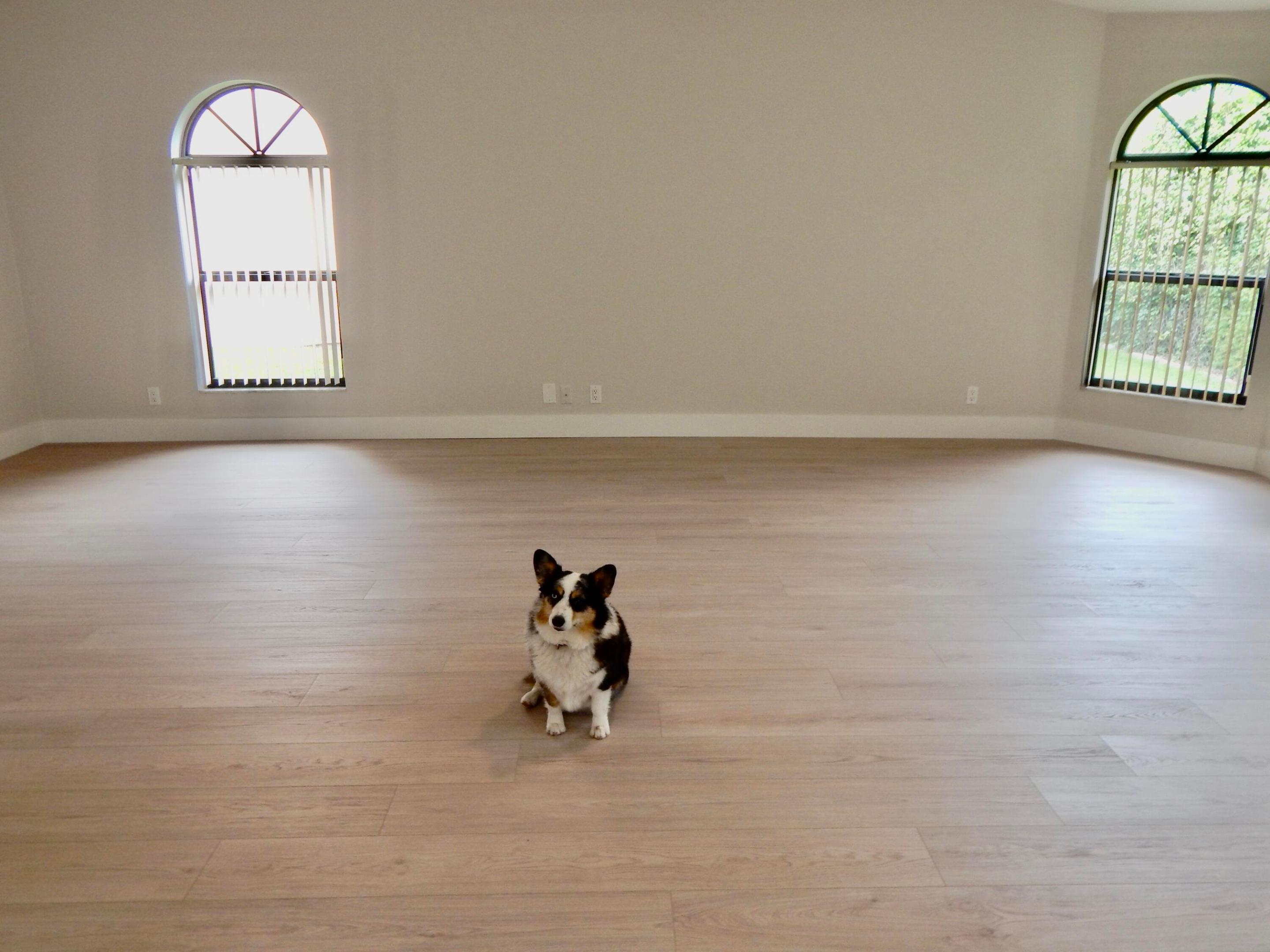 property viewer photo 6