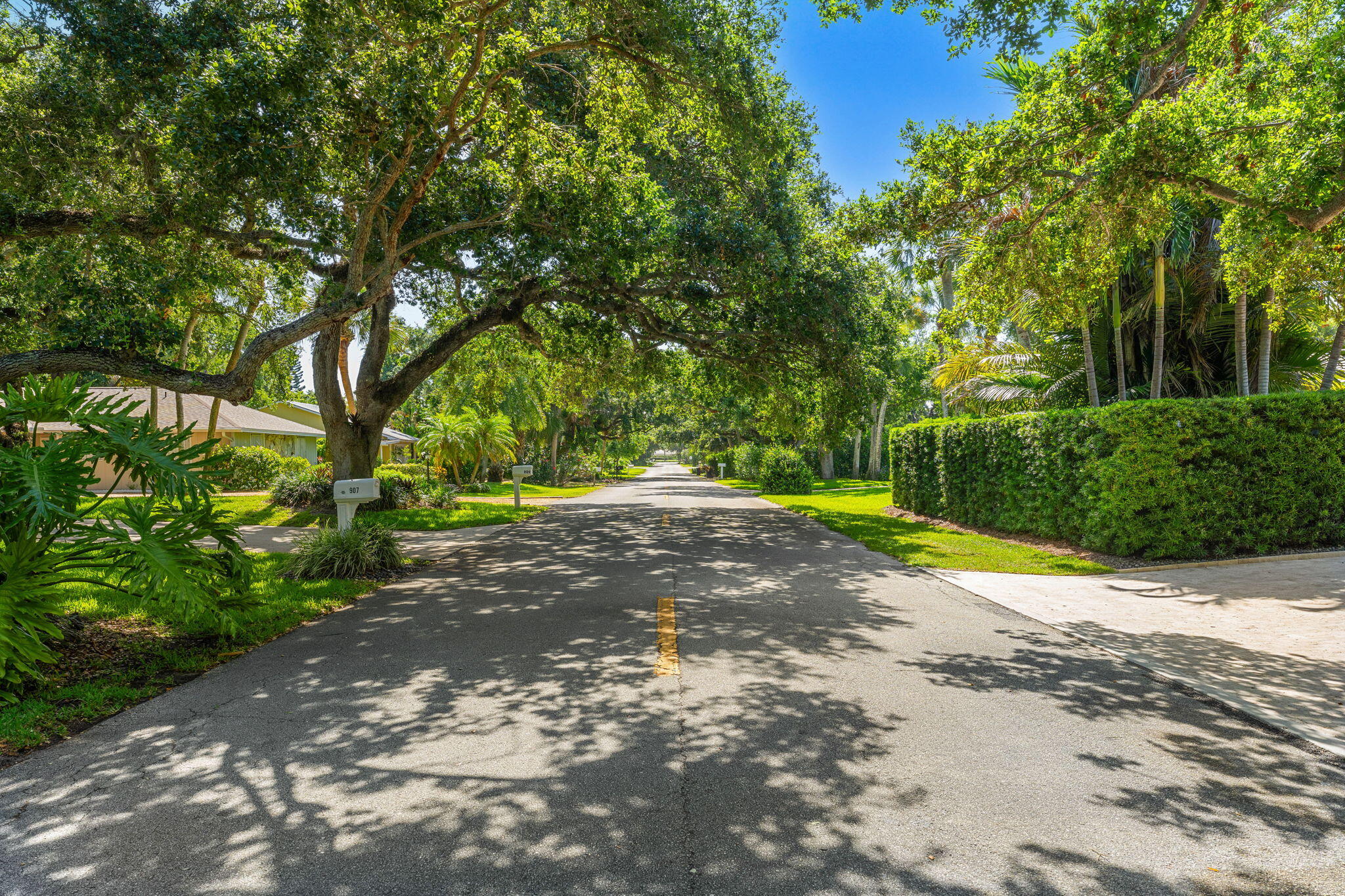 main property photo 31