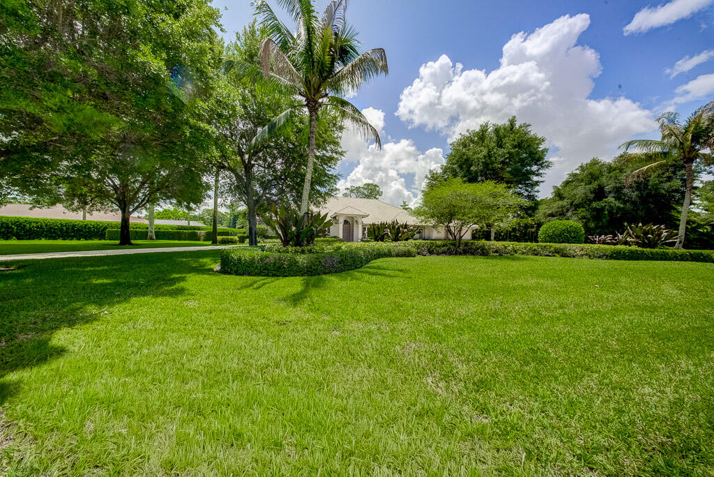 main property photo 75