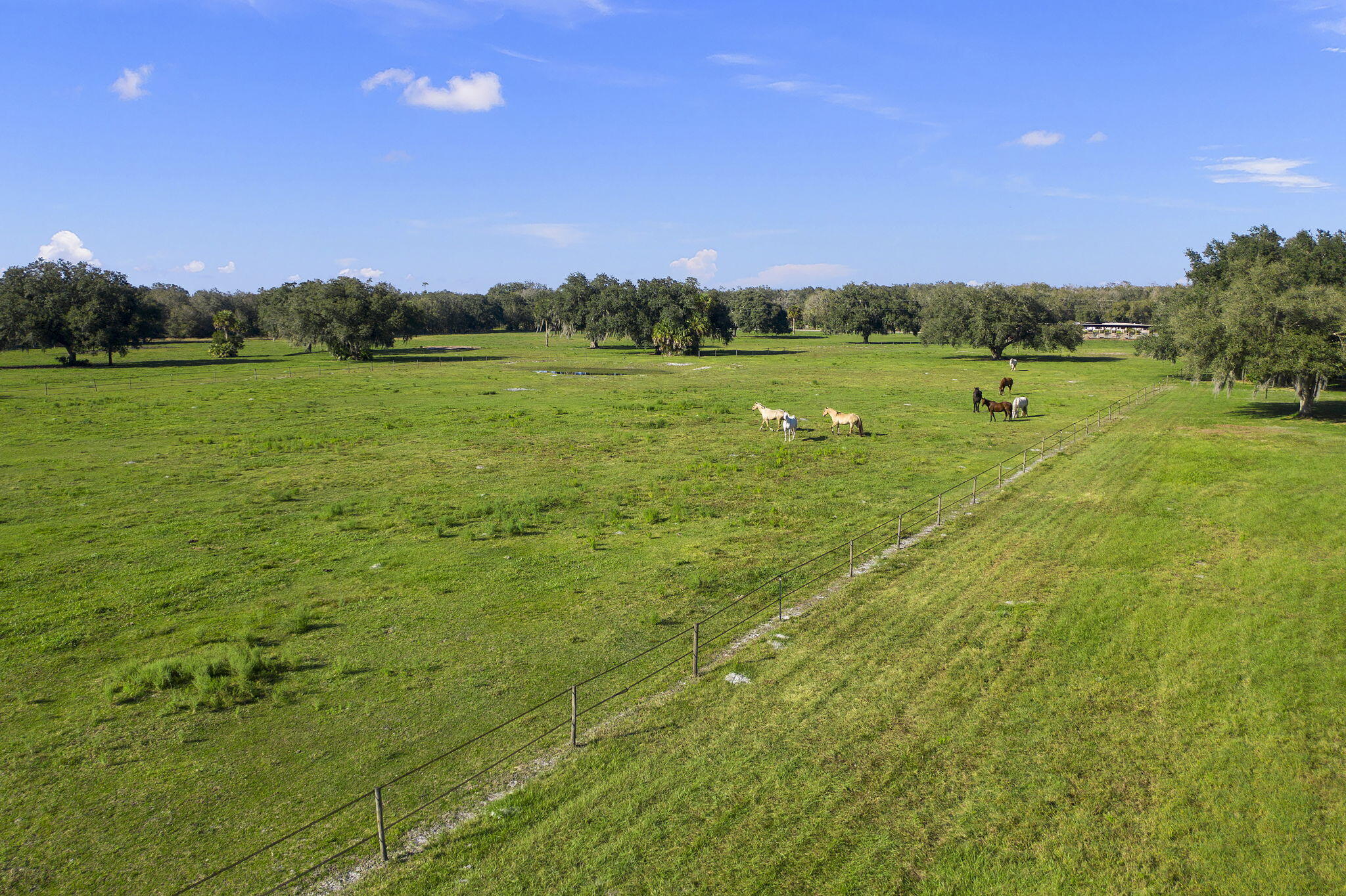 main property photo 67