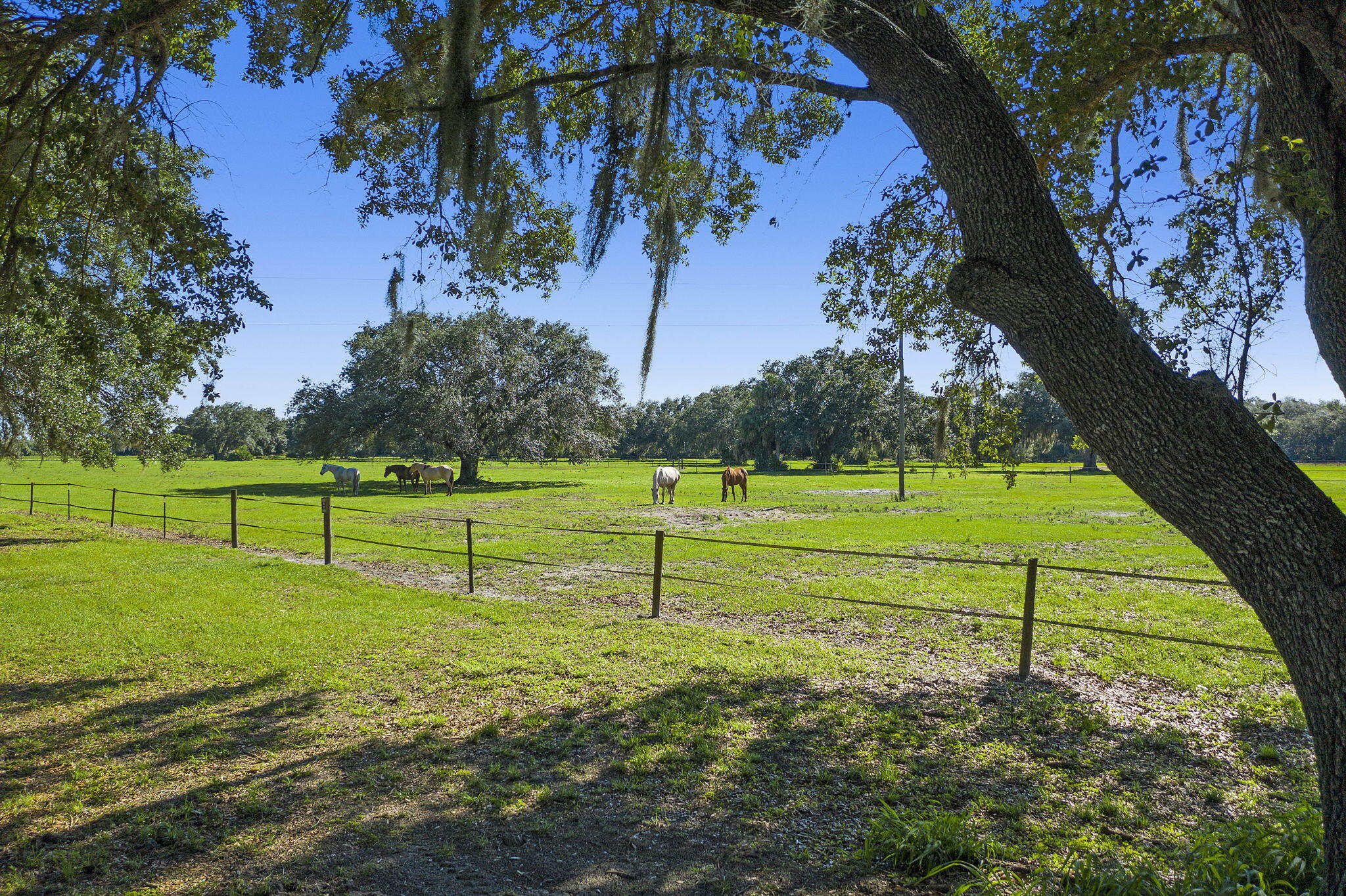 main property photo 72
