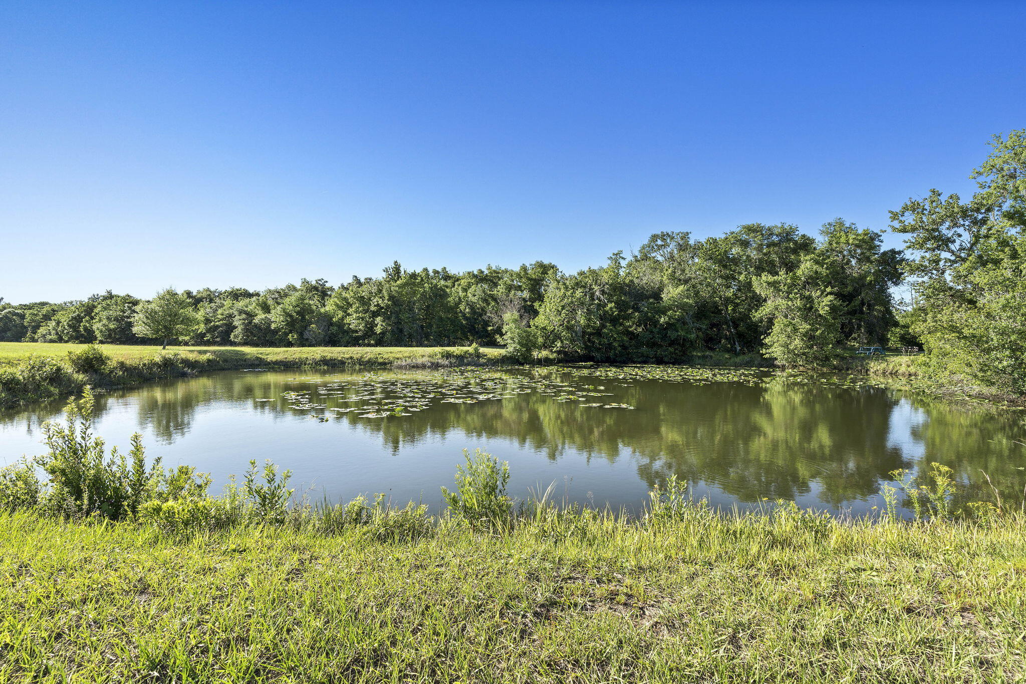 main property photo 75