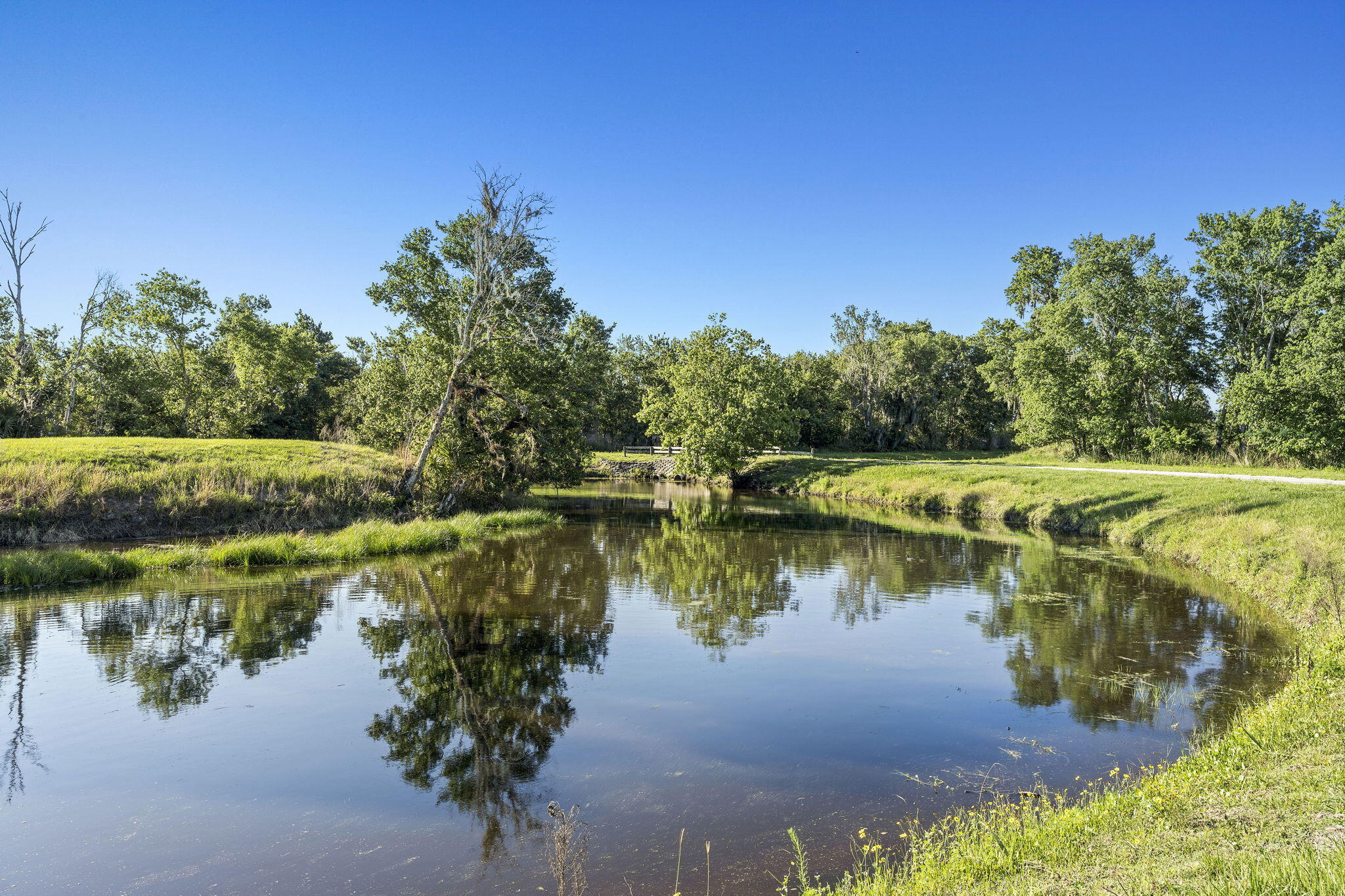 main property photo 78