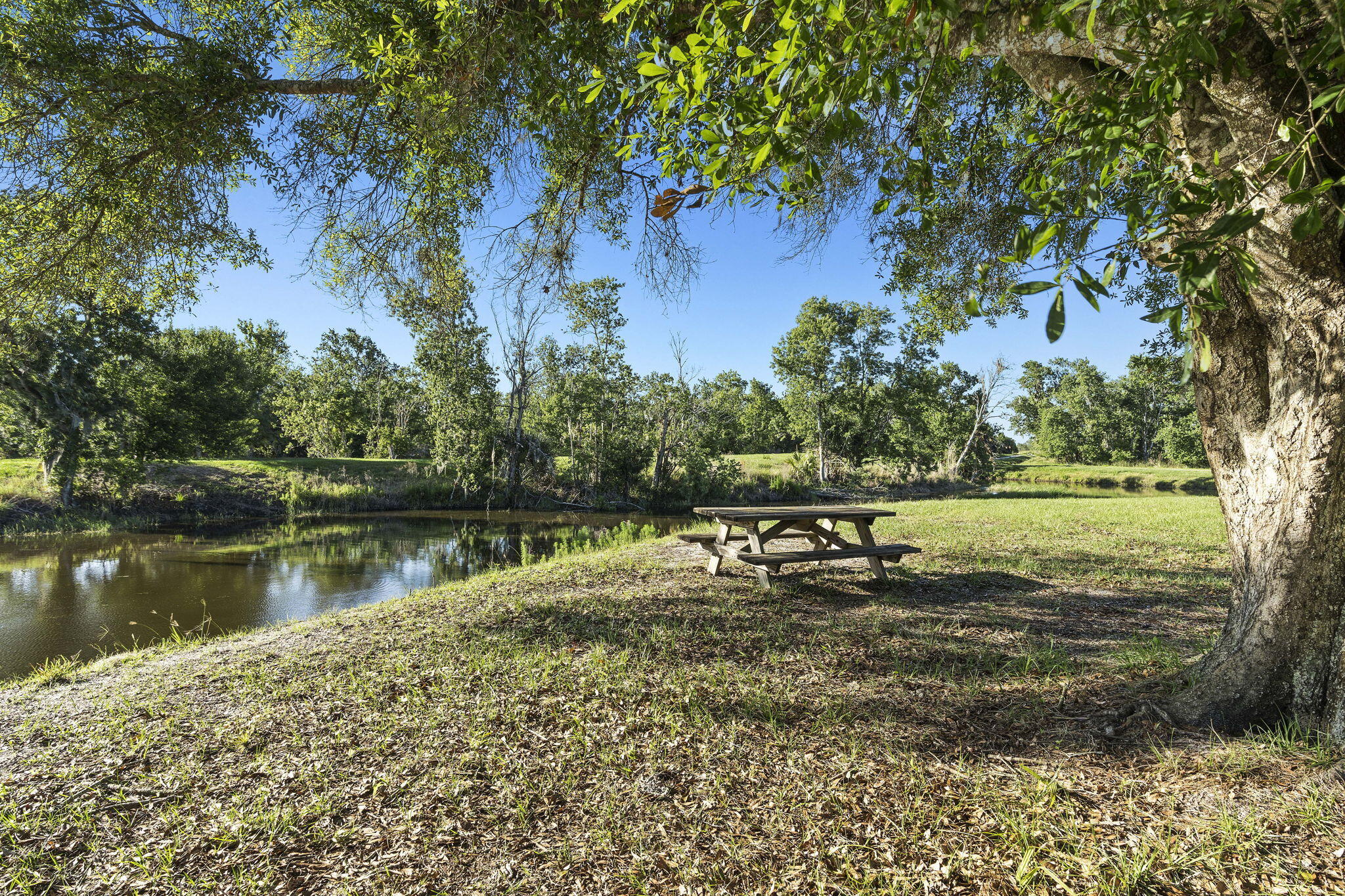 main property photo 79