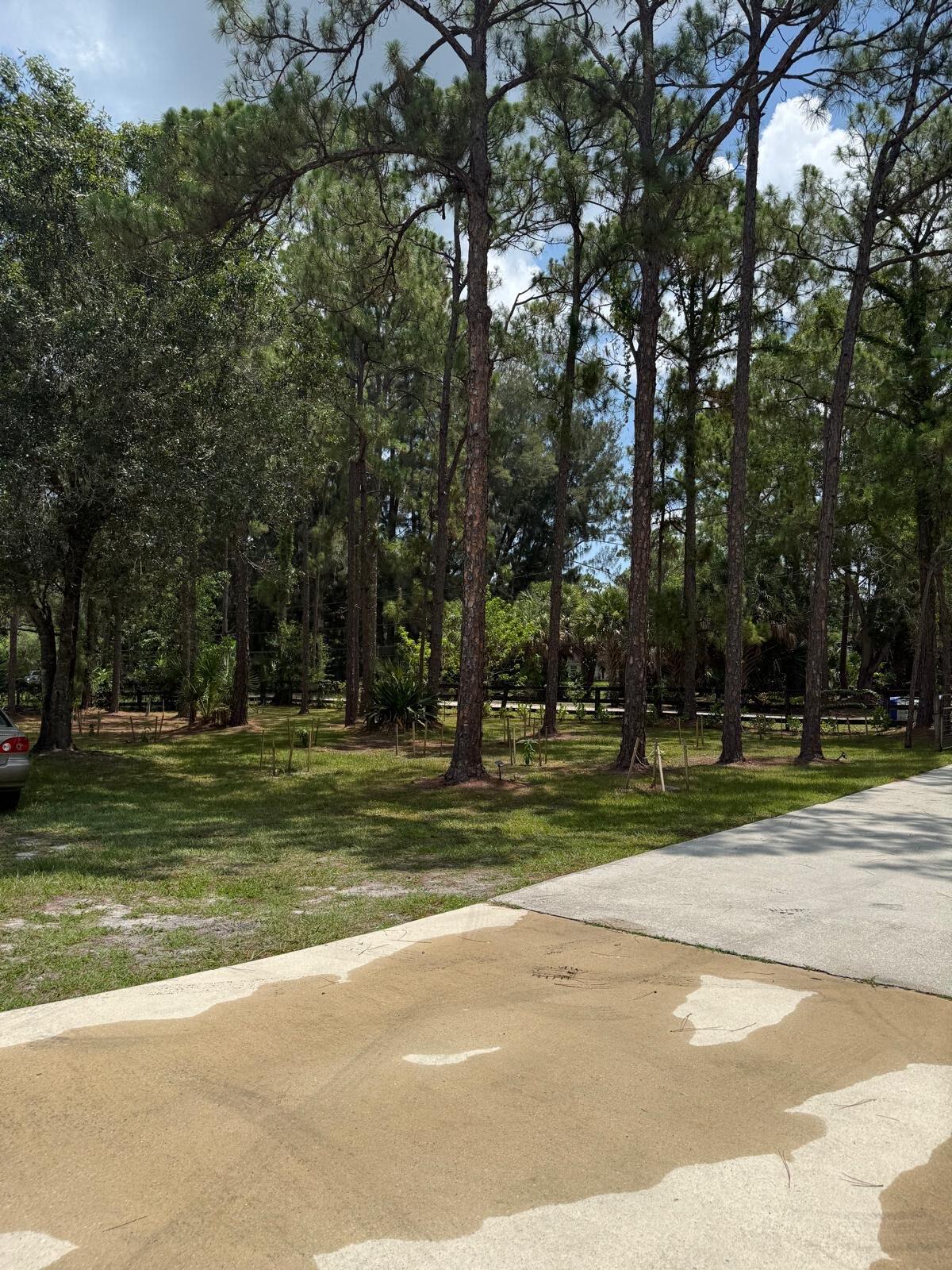 main property photo 53