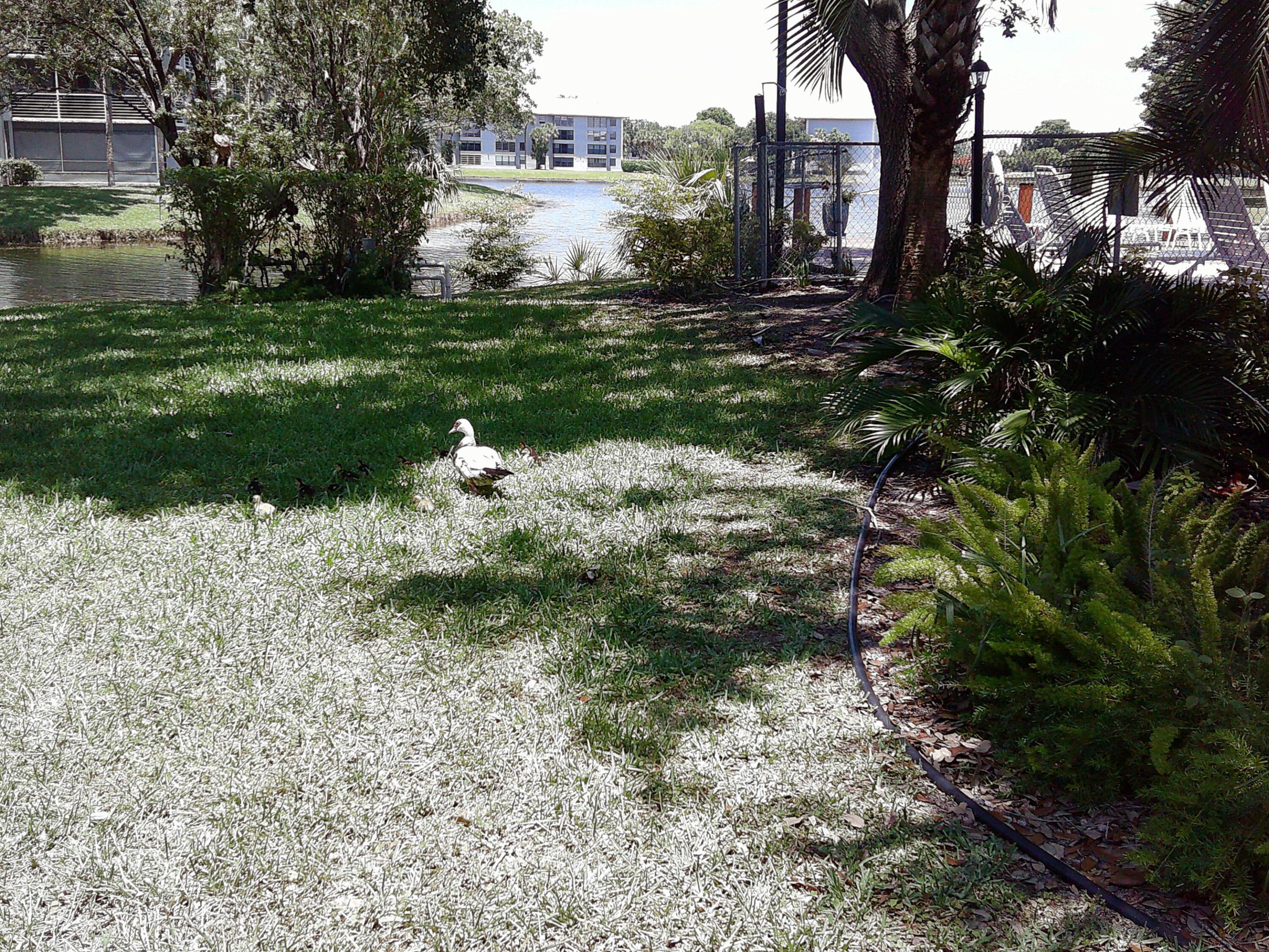 main property photo 74