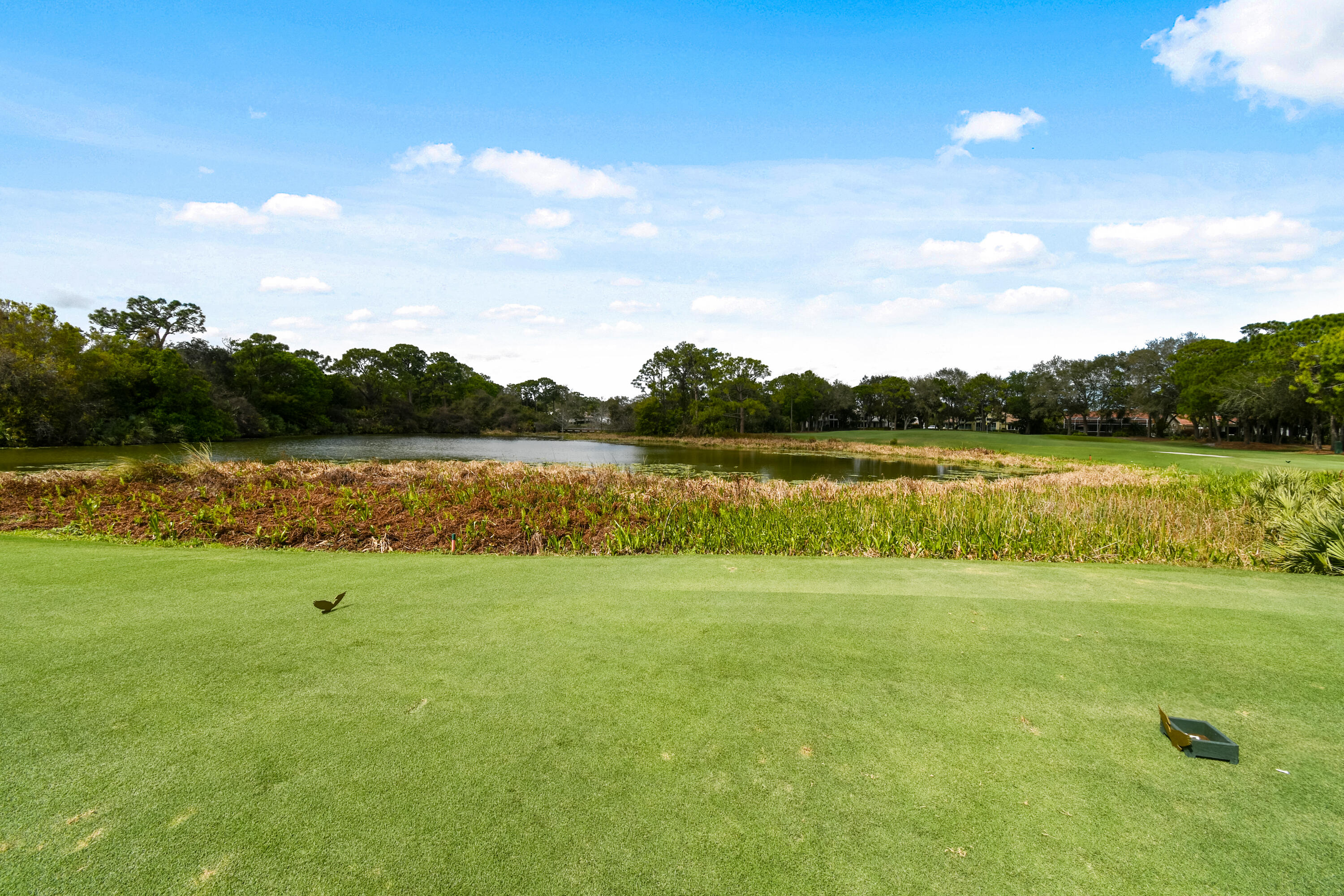 main property photo 64