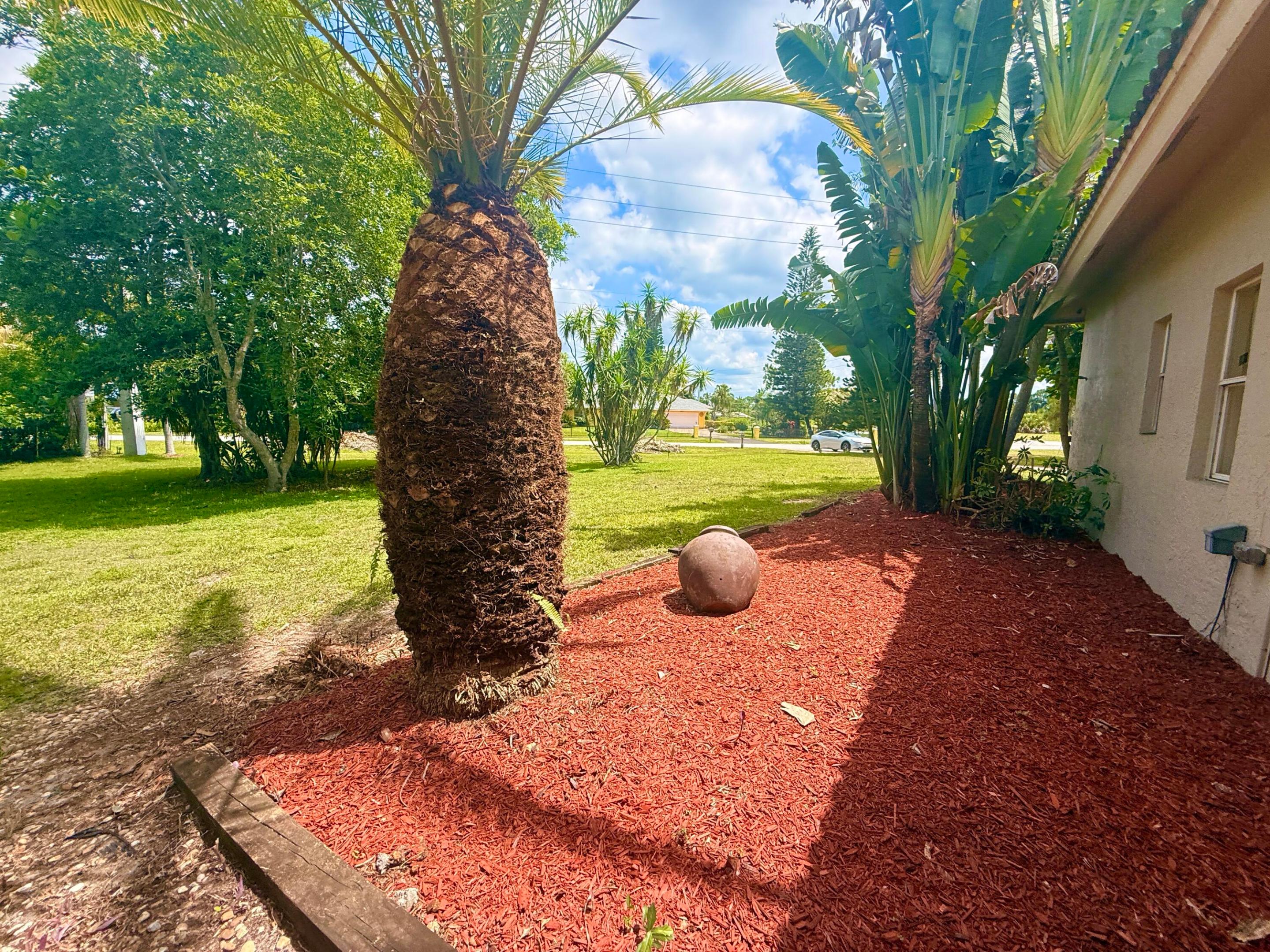 main property photo 62
