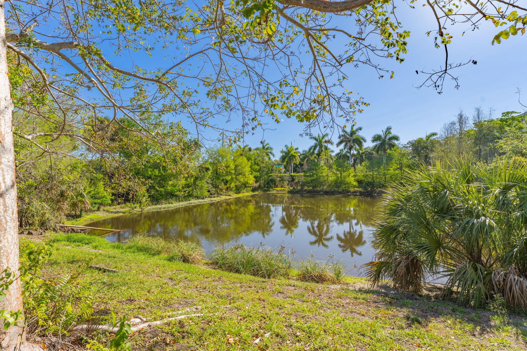 main property photo 47