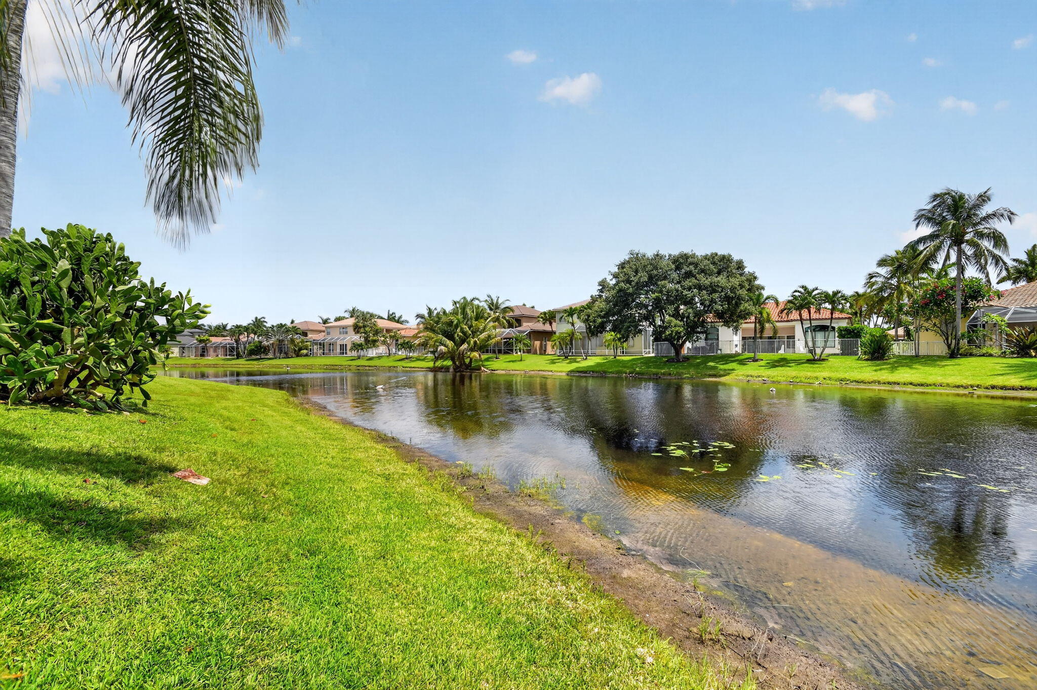 main property photo 50