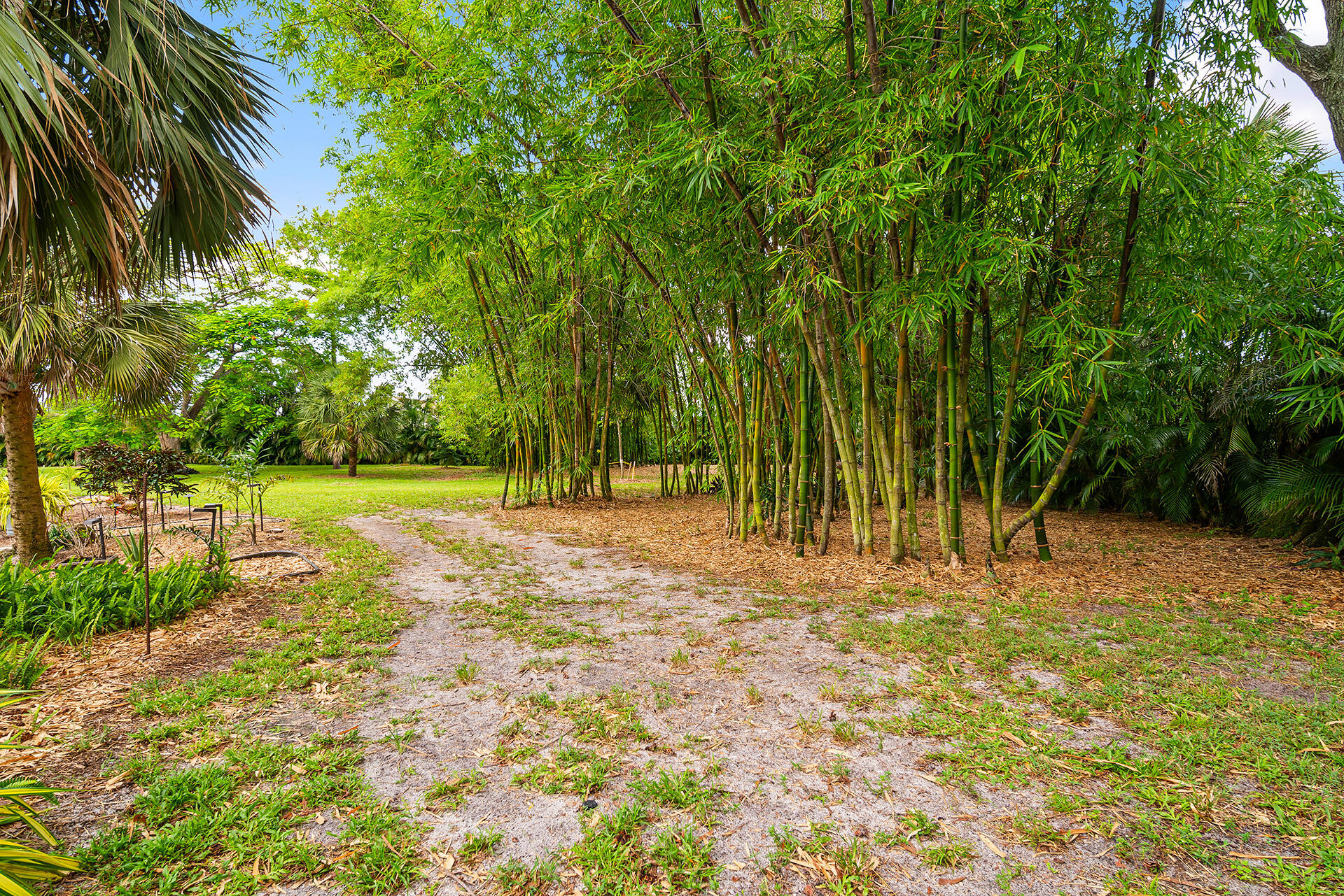 main property photo 58
