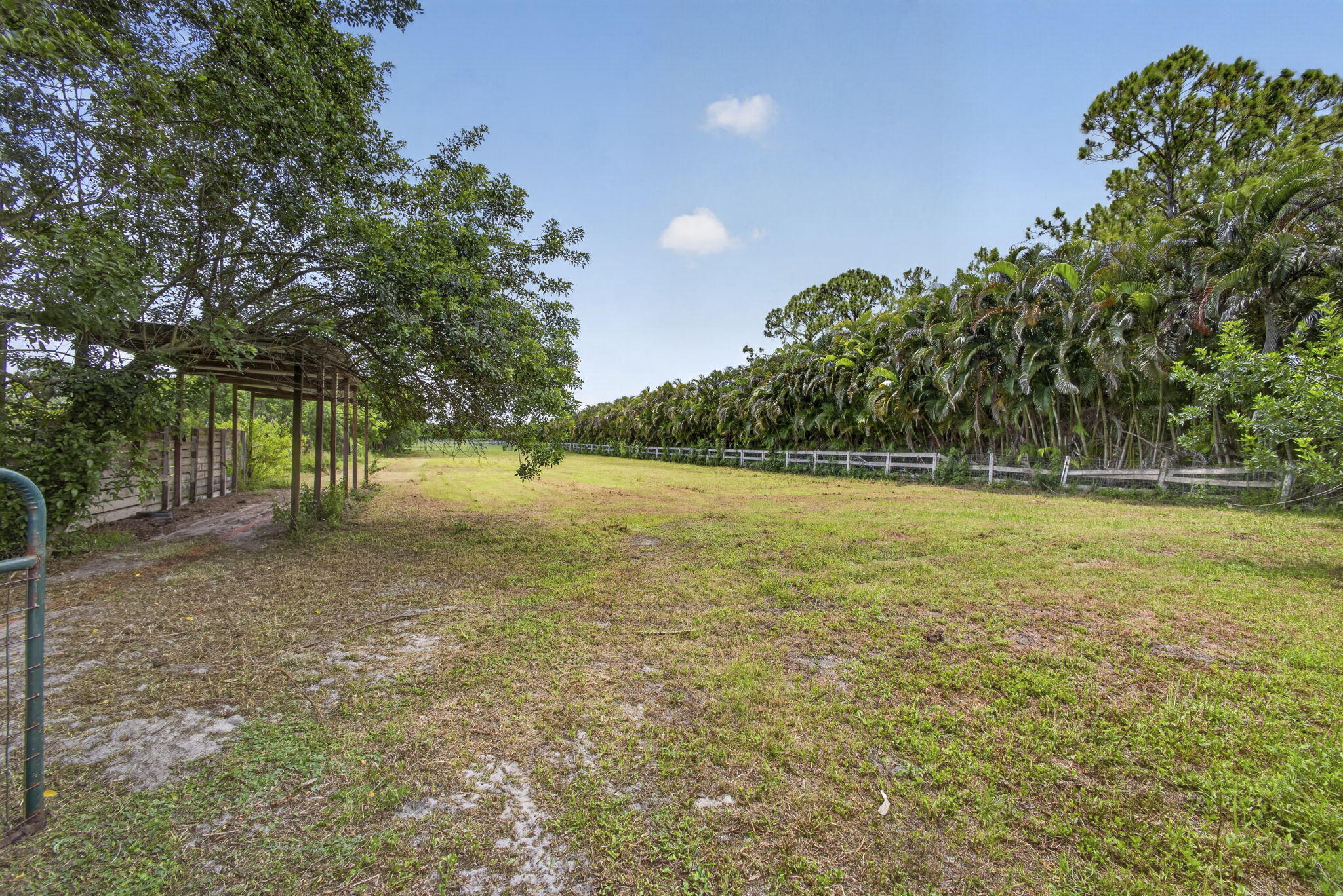 main property photo 53