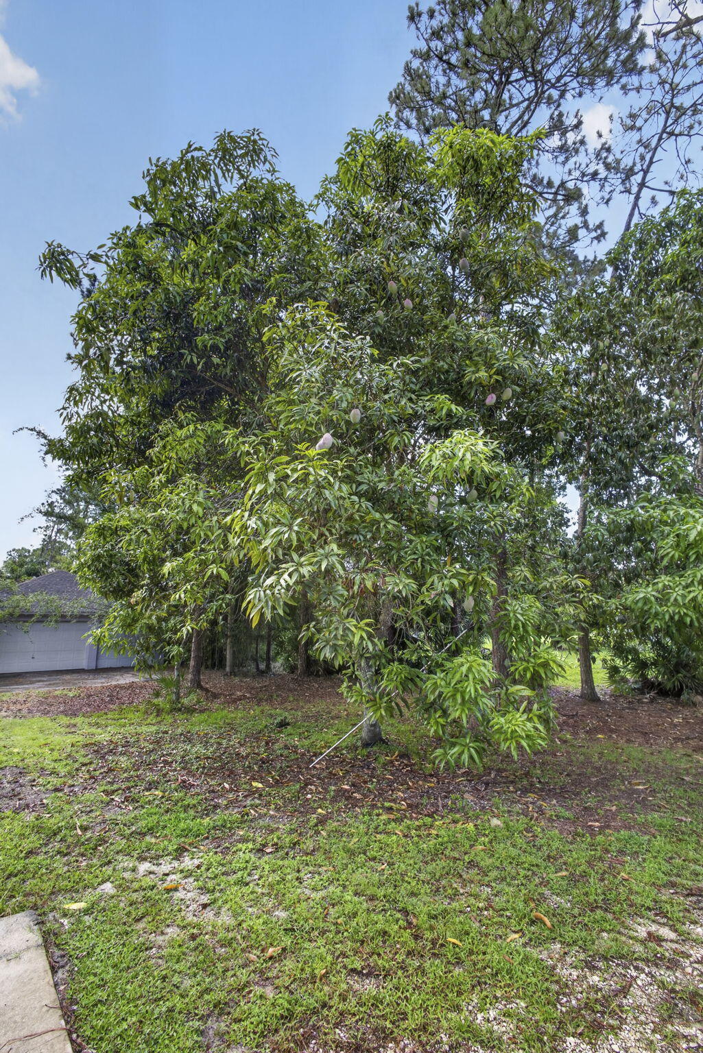 main property photo 64