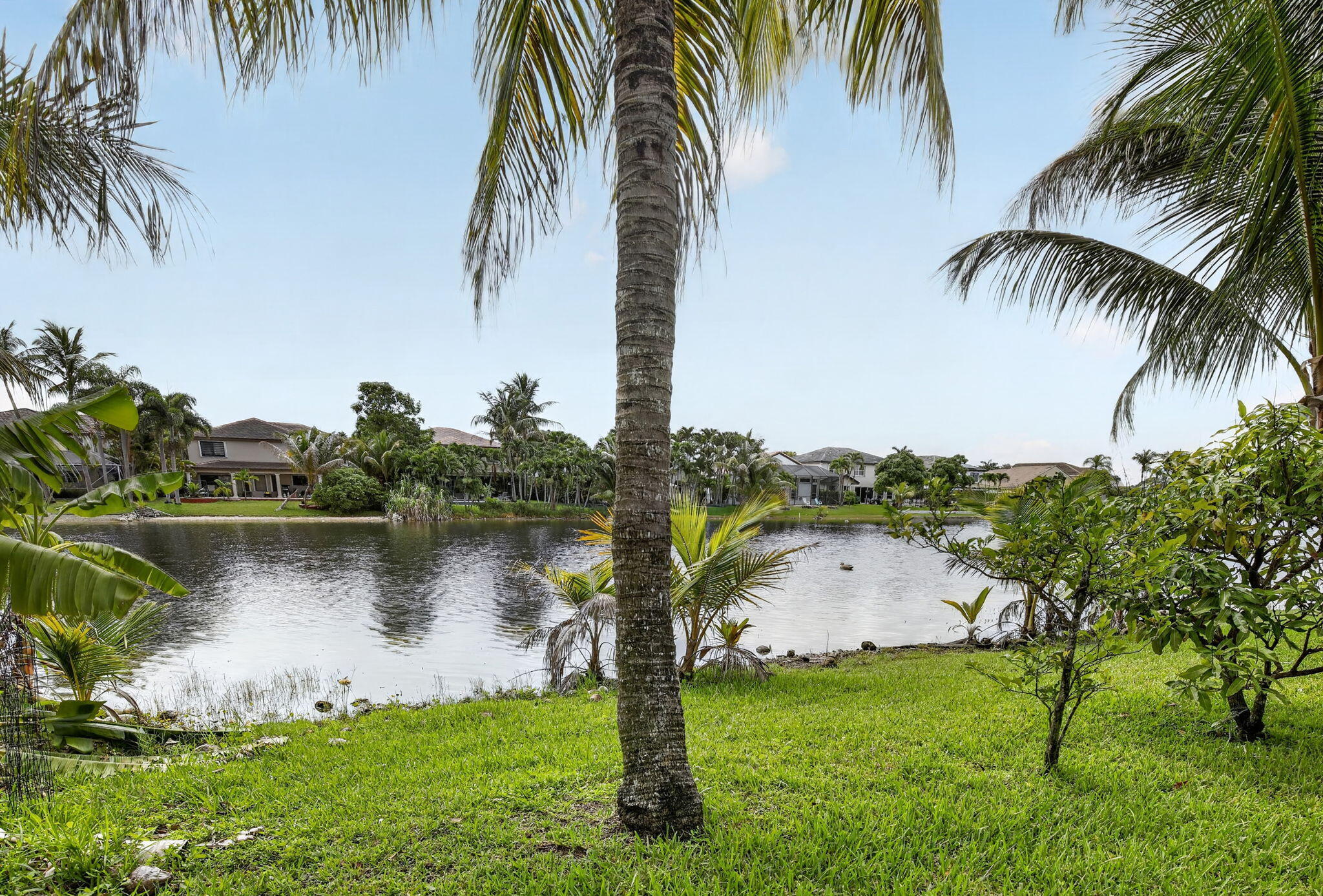 main property photo 56