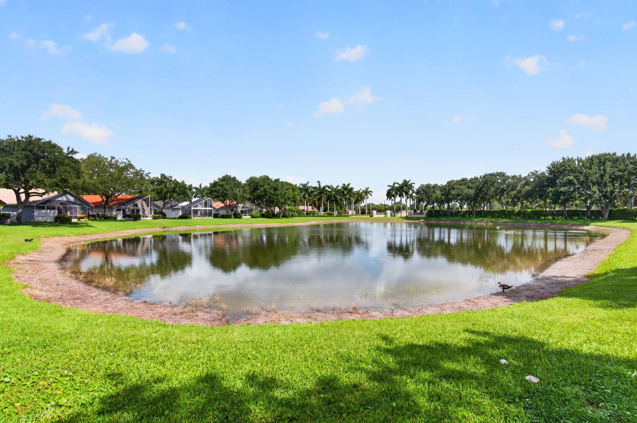main property photo 64