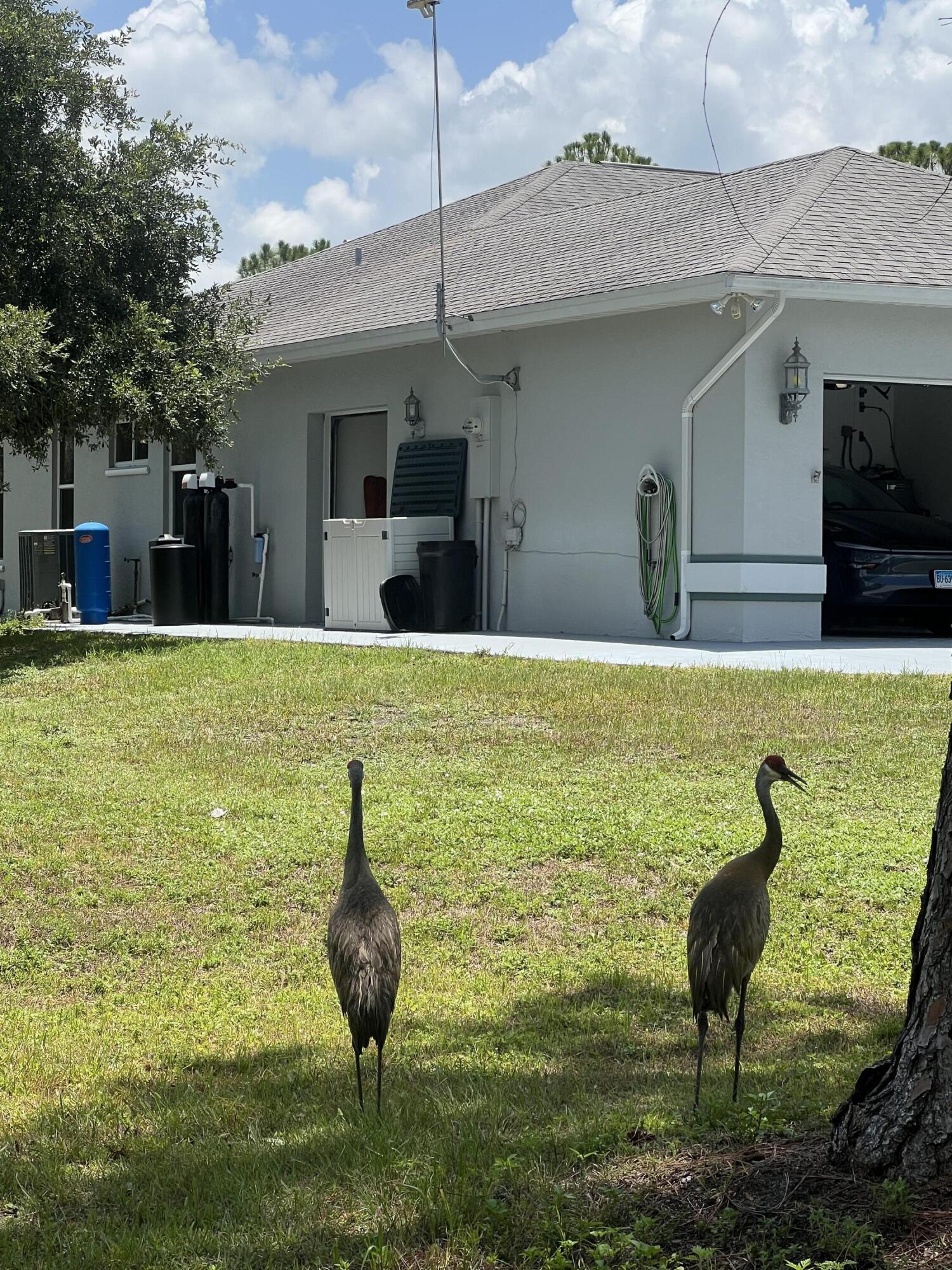 main property photo 58