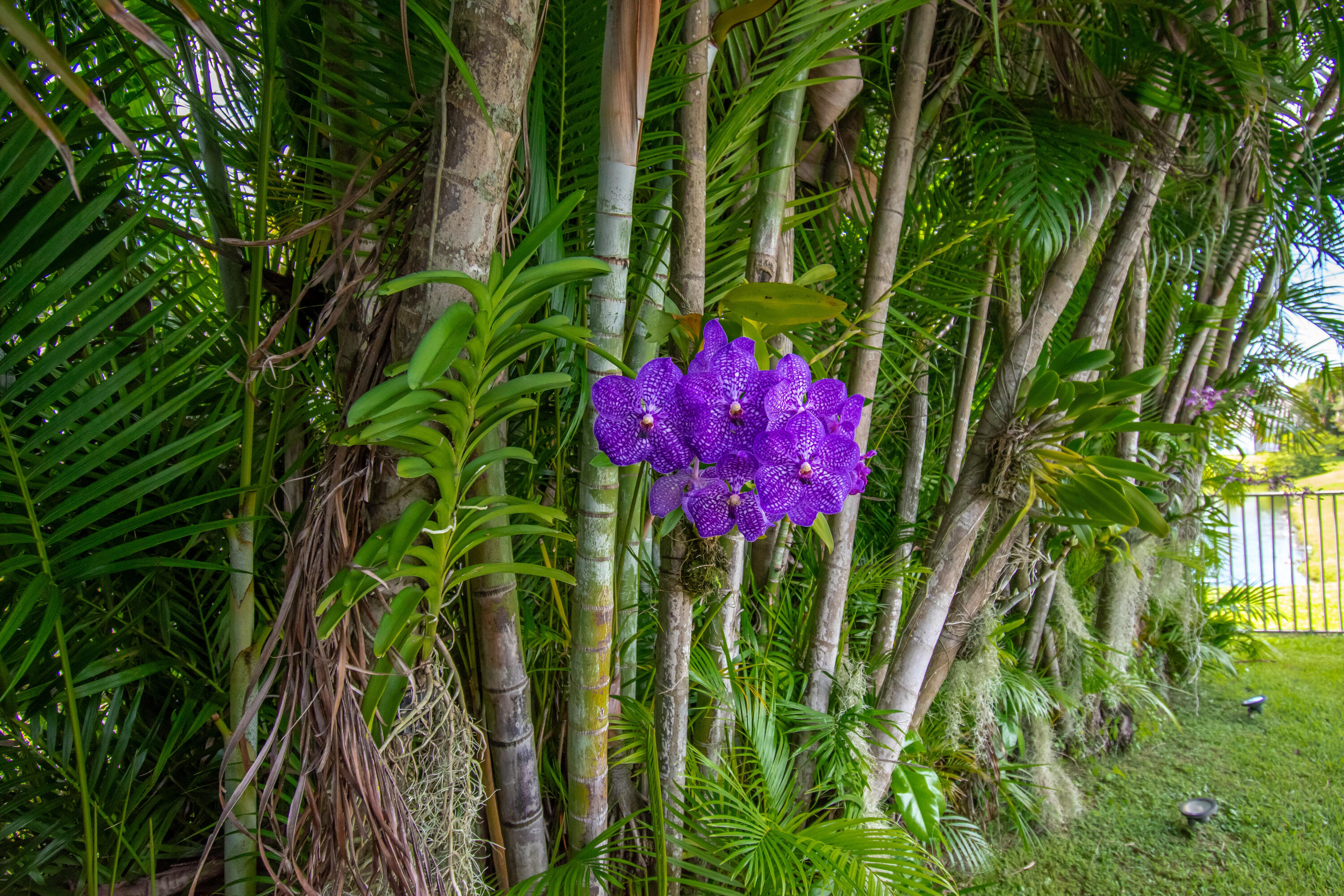 main property photo 62