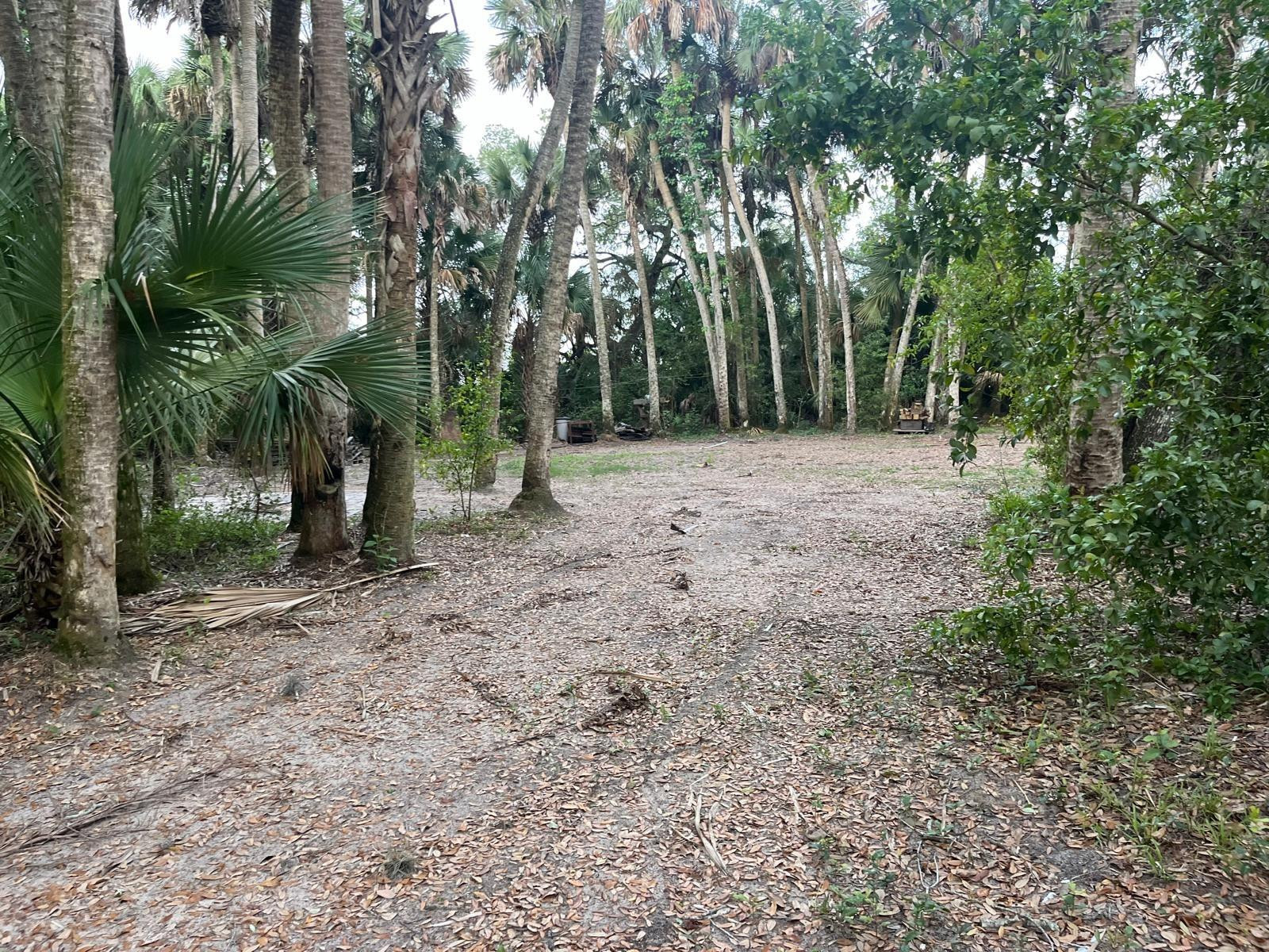 main property photo 10