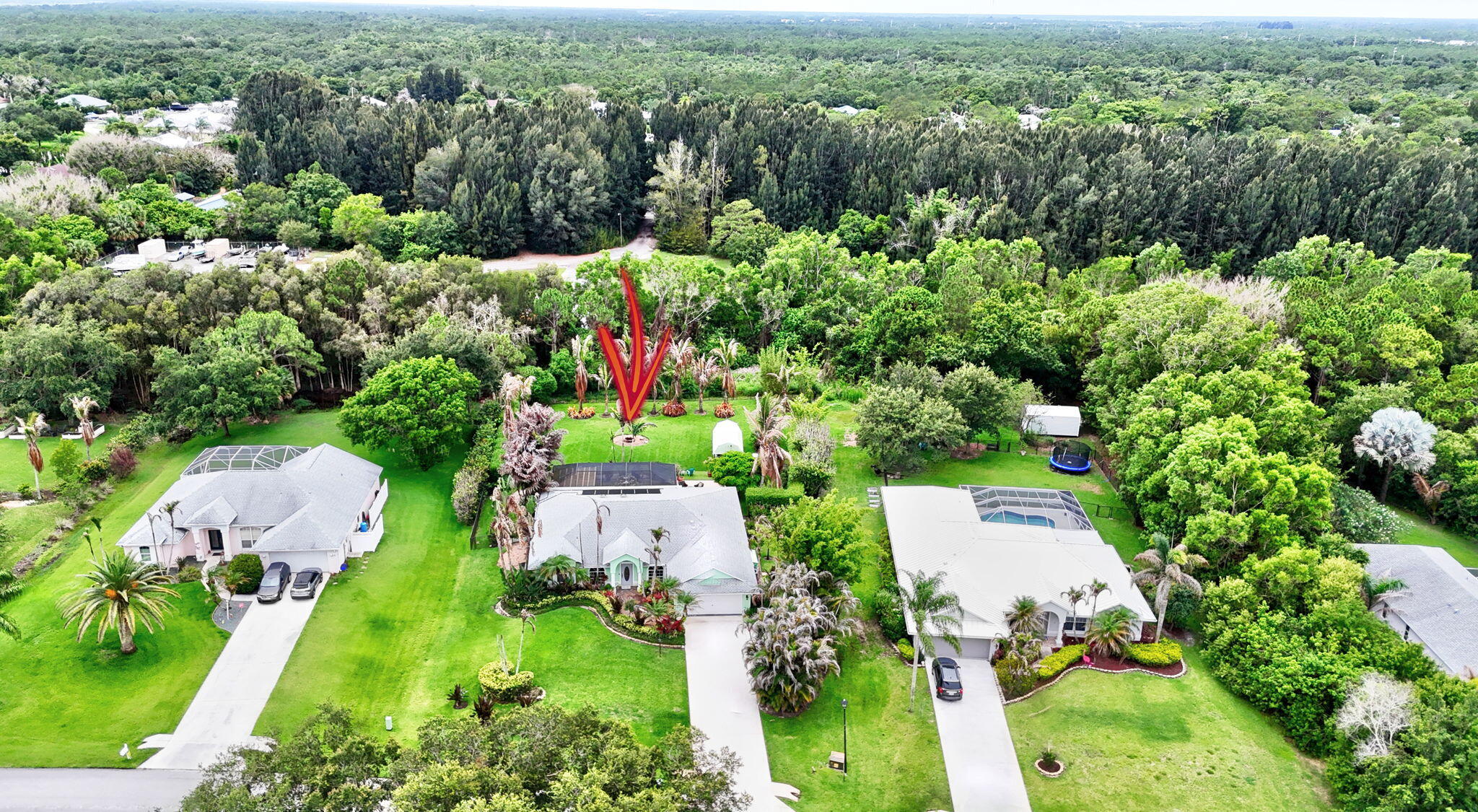 main property photo 54