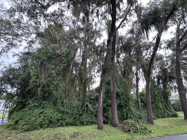 main property photo 24