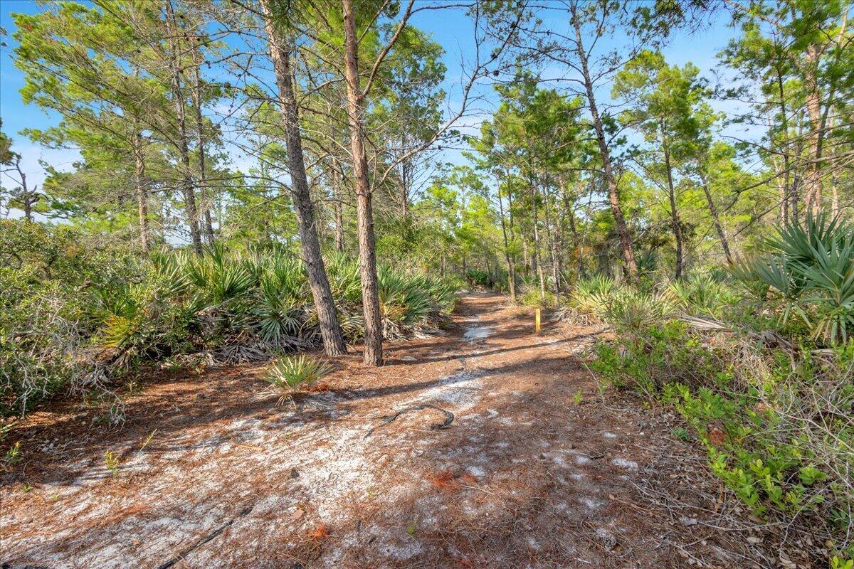main property photo 67