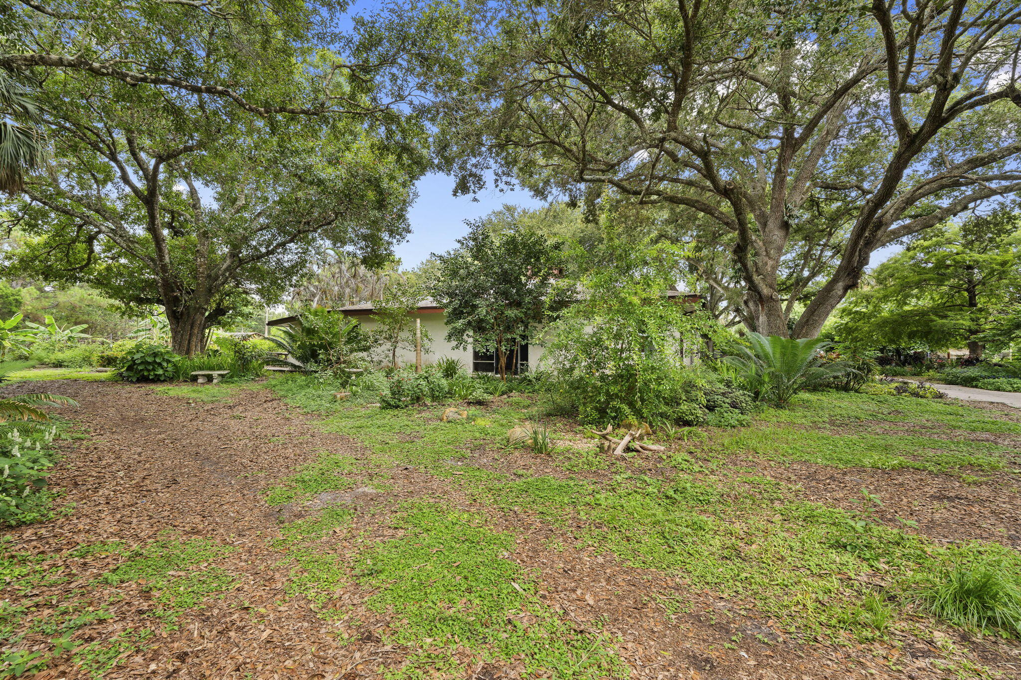 main property photo 41