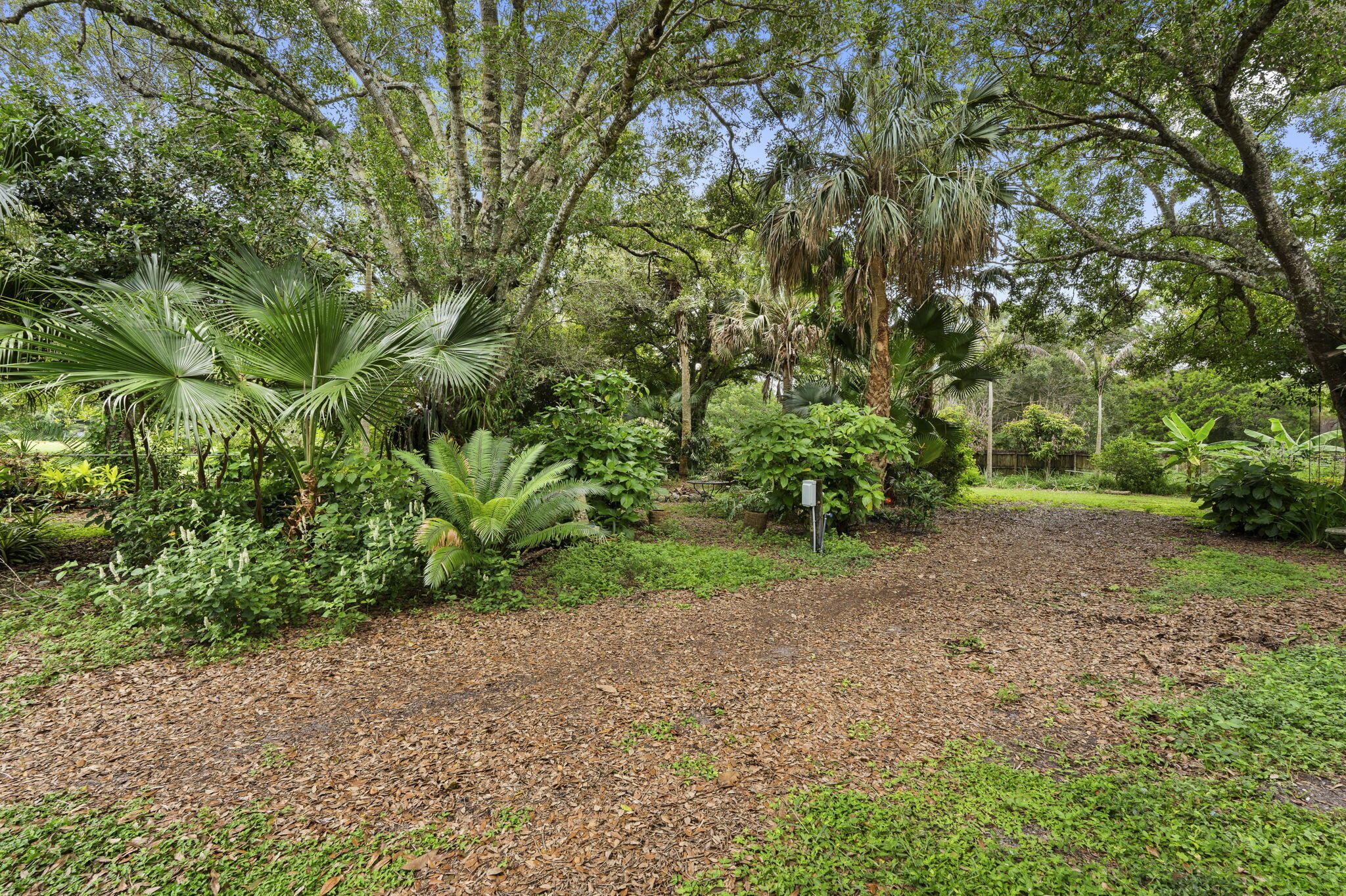 main property photo 42