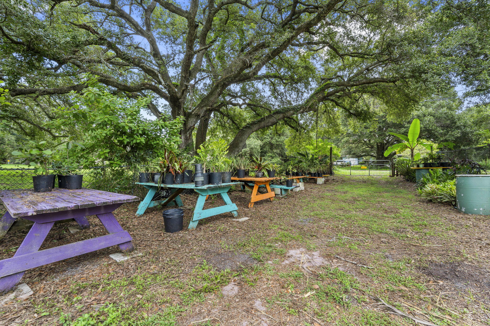 main property photo 50