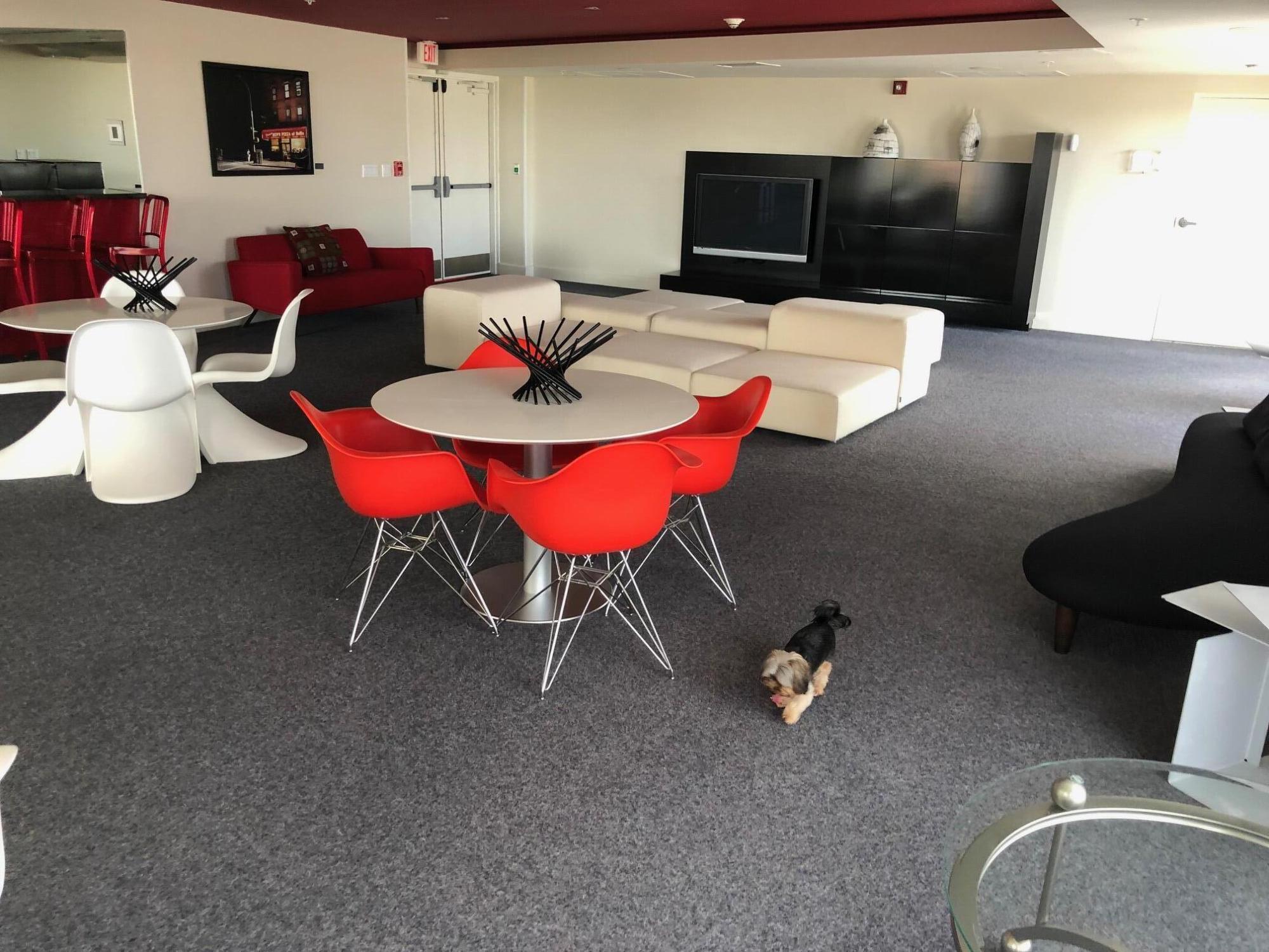 main property photo 41