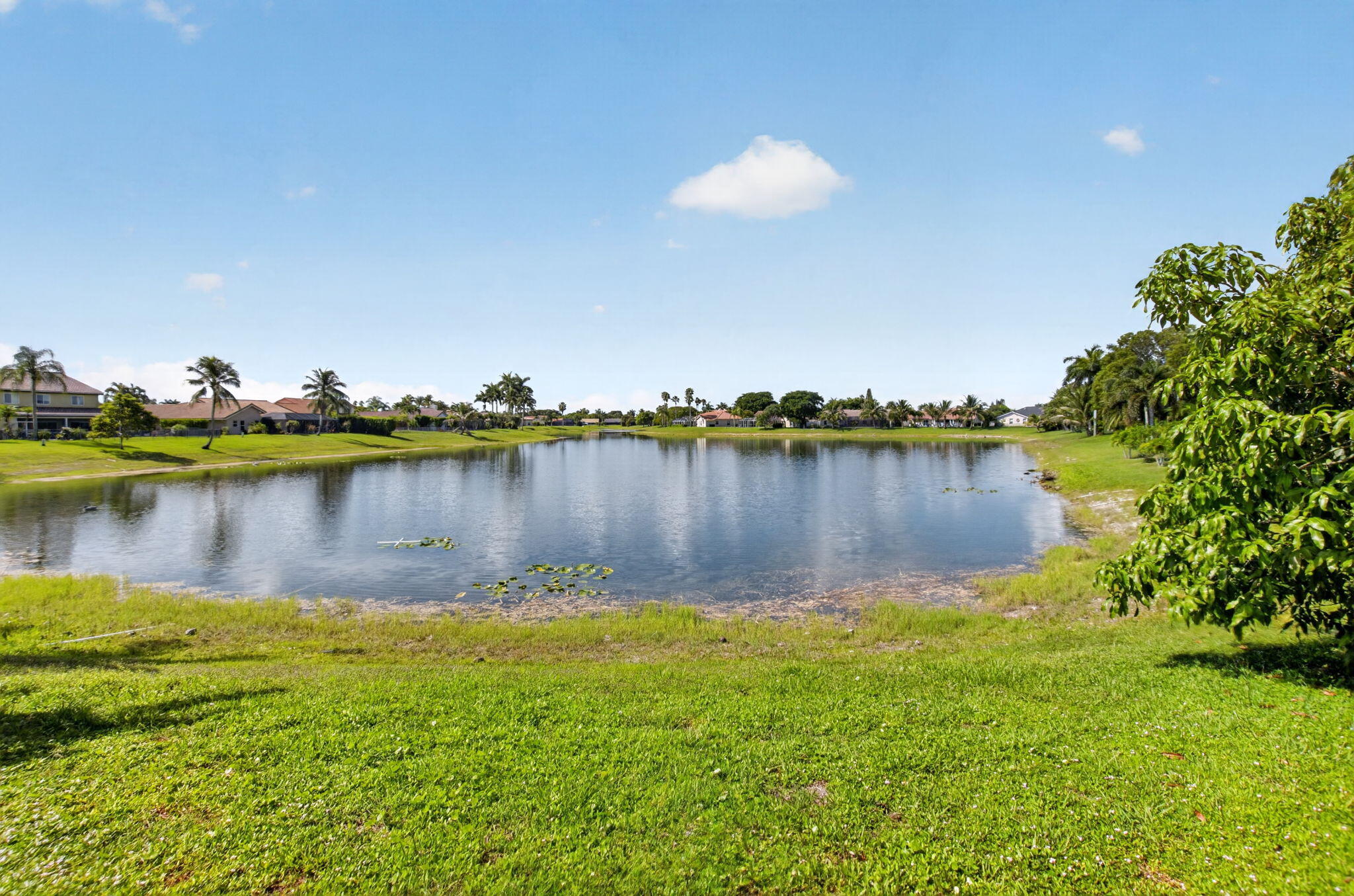 main property photo 79