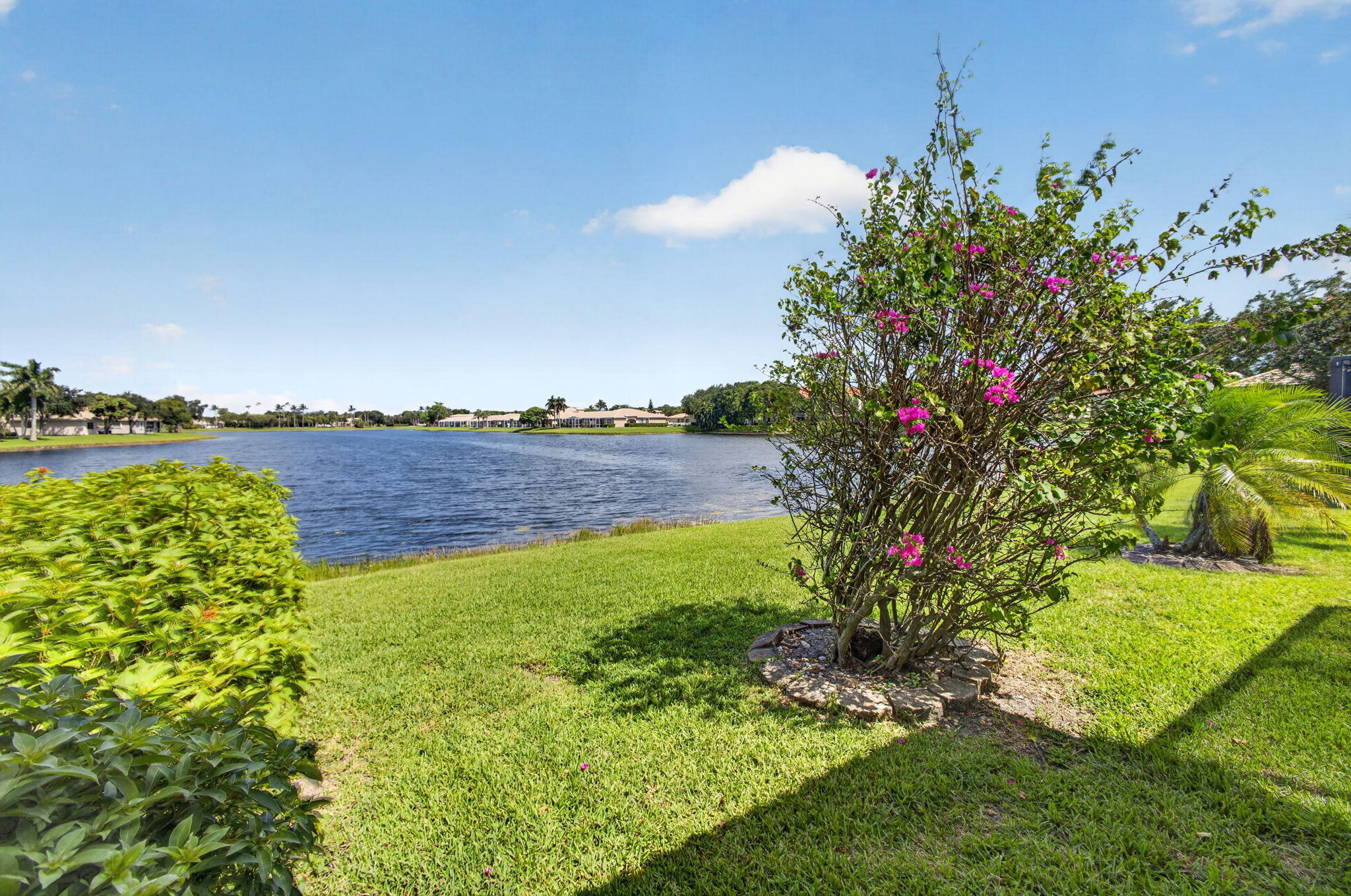 main property photo 56