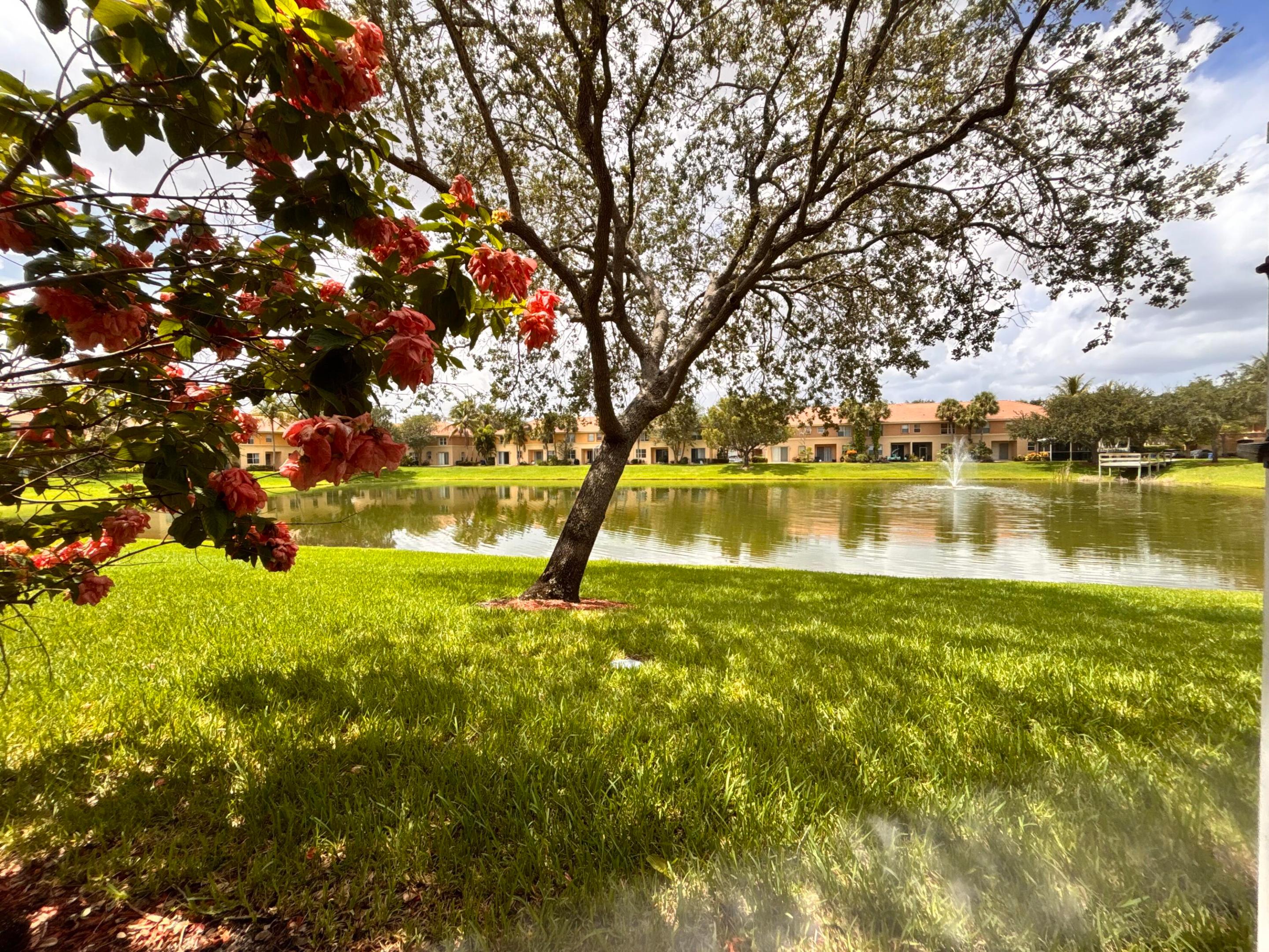 property viewer photo 24
