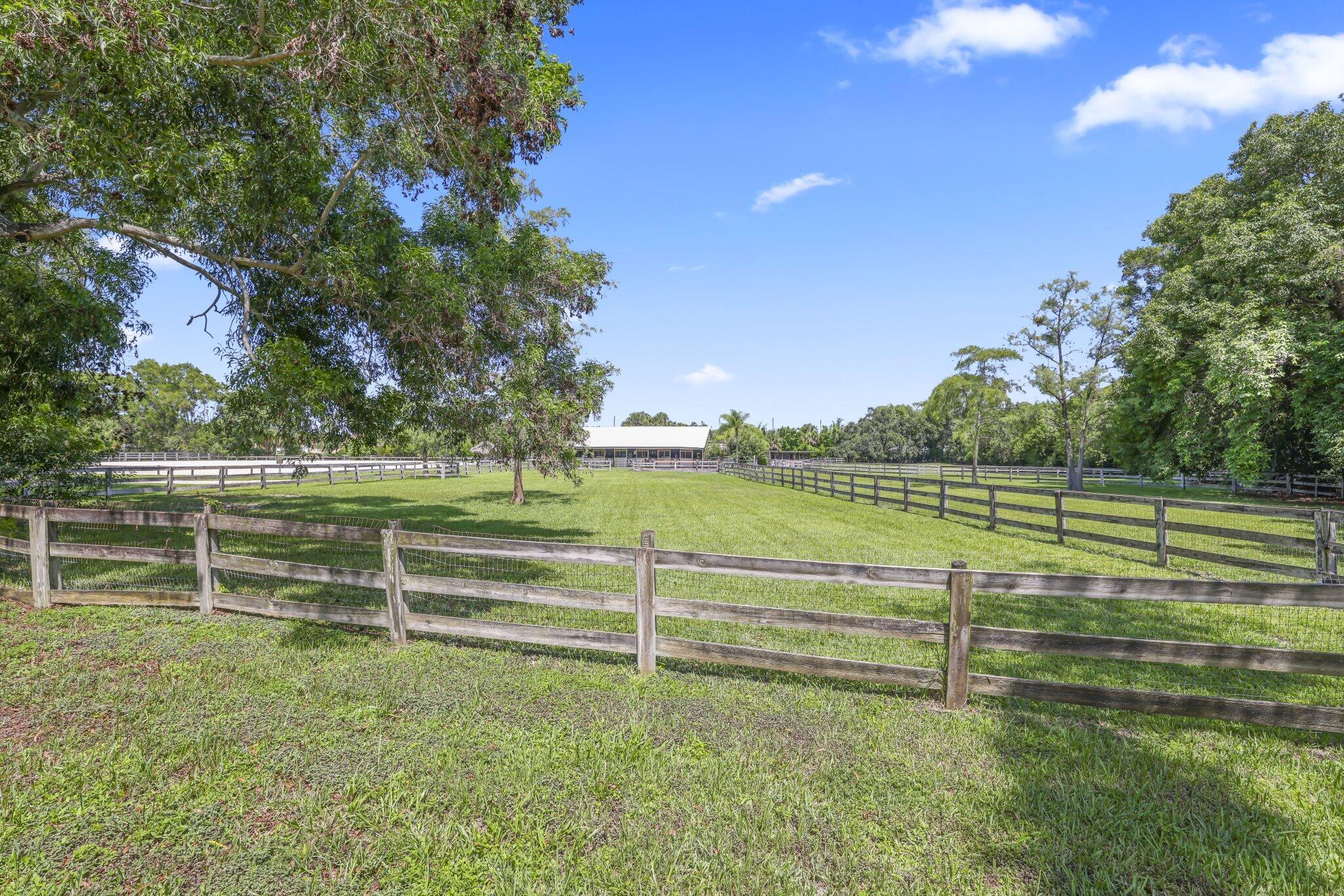 main property photo 53