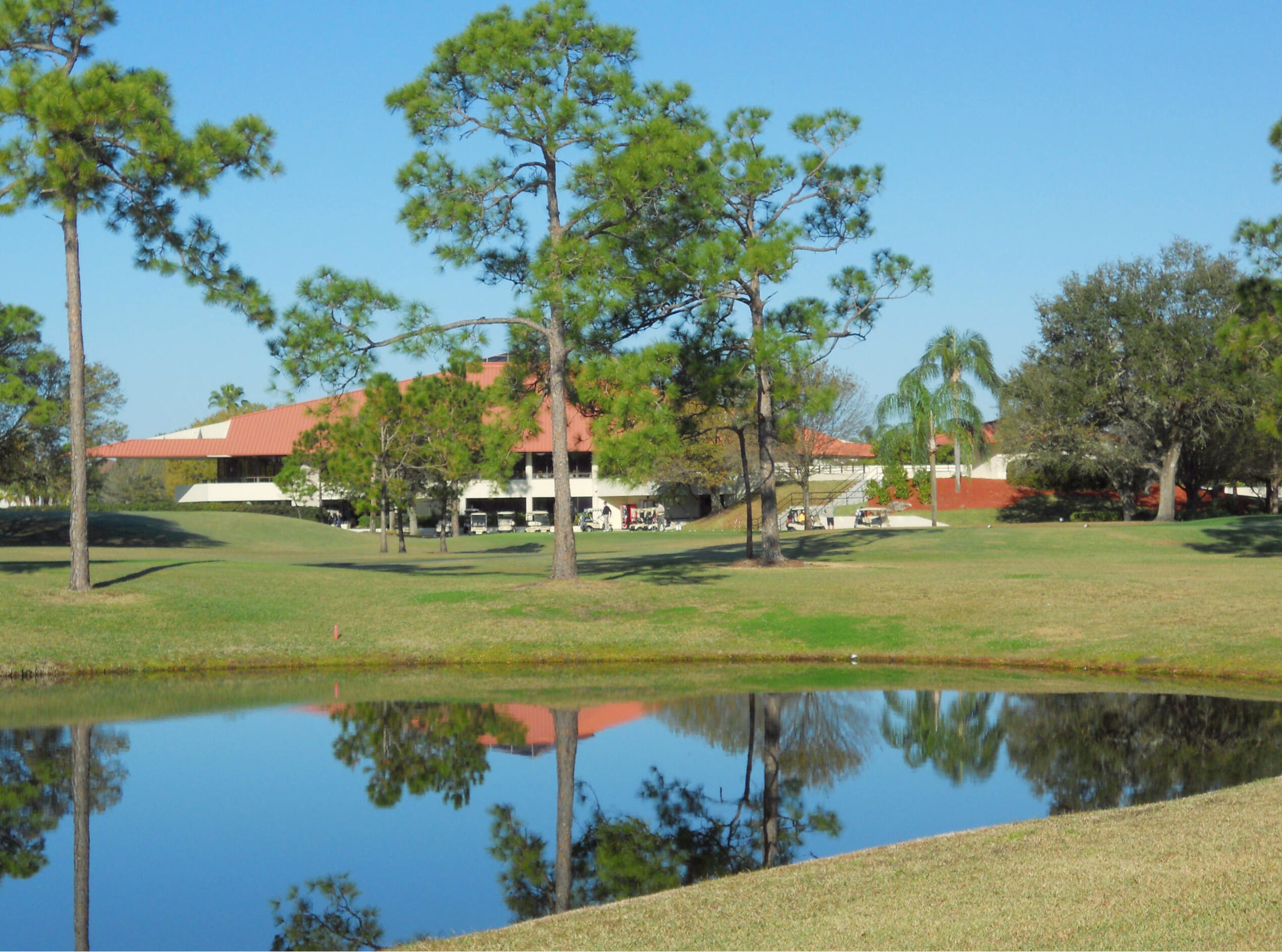 main property photo 48
