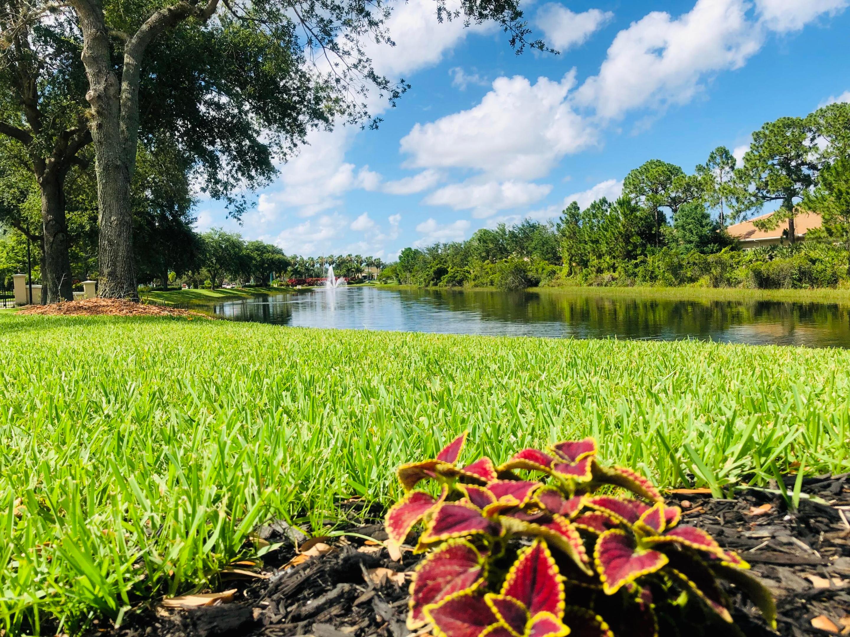 main property photo 74