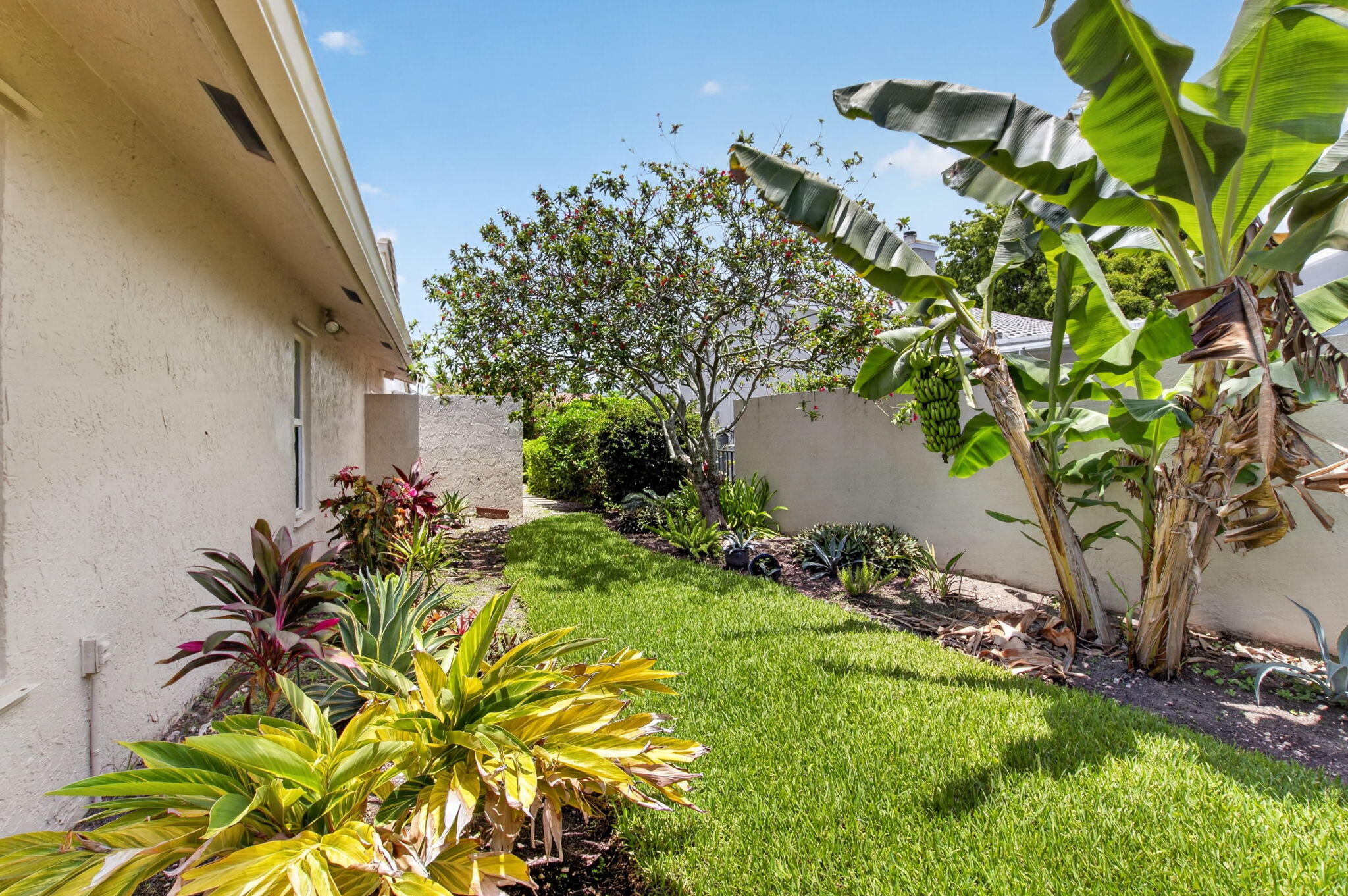 main property photo 54