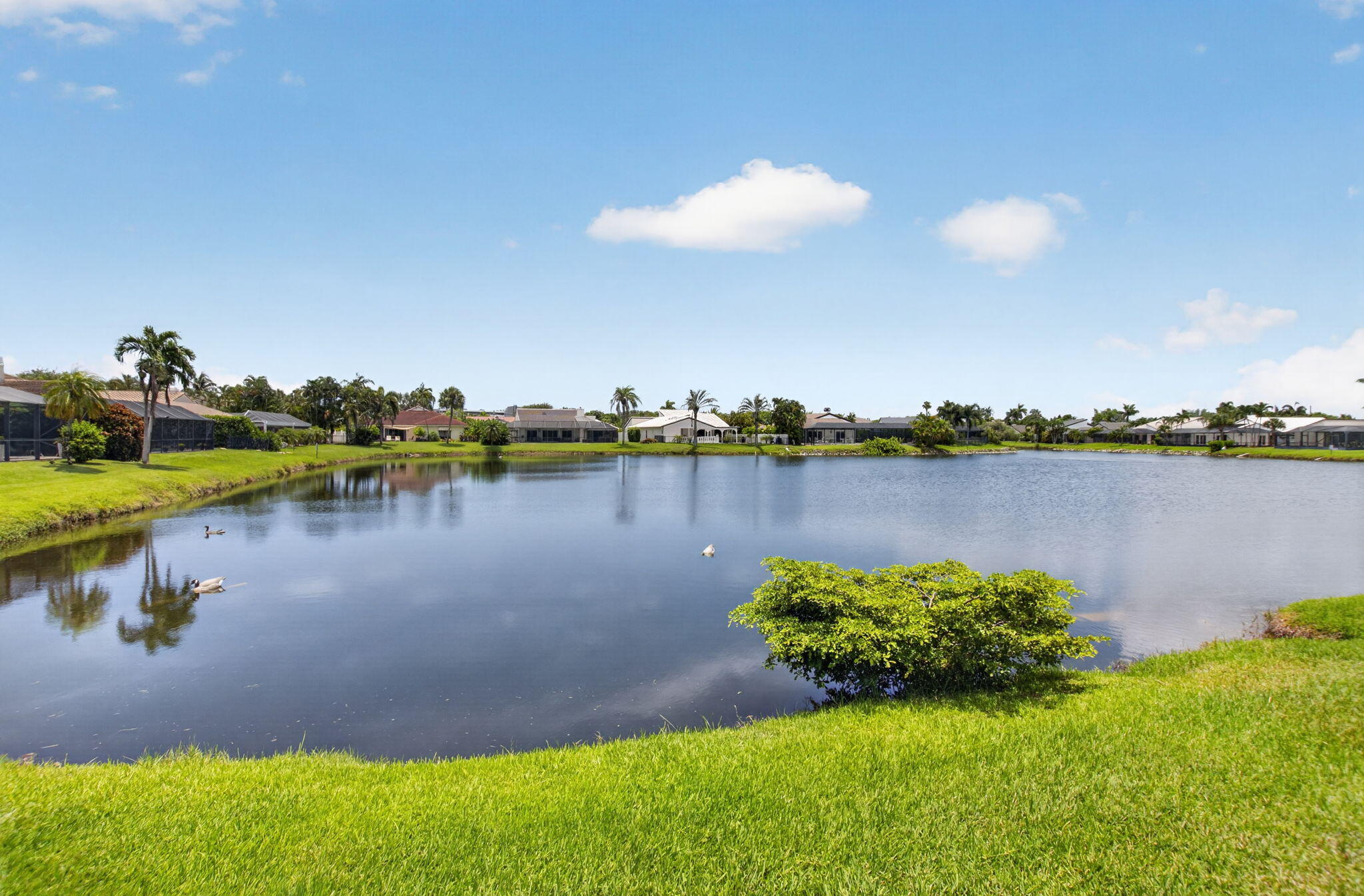 main property photo 55