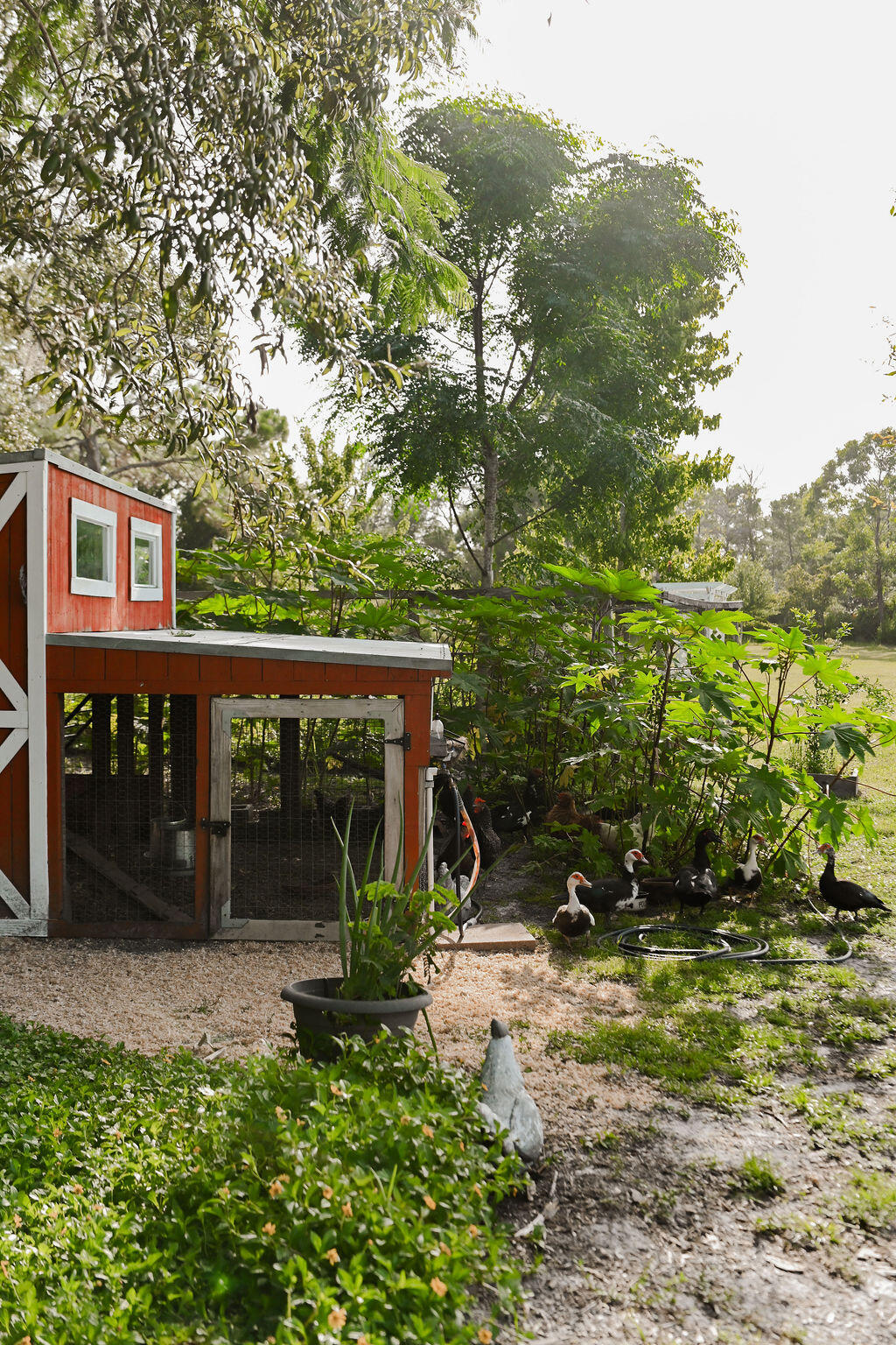 main property photo 44