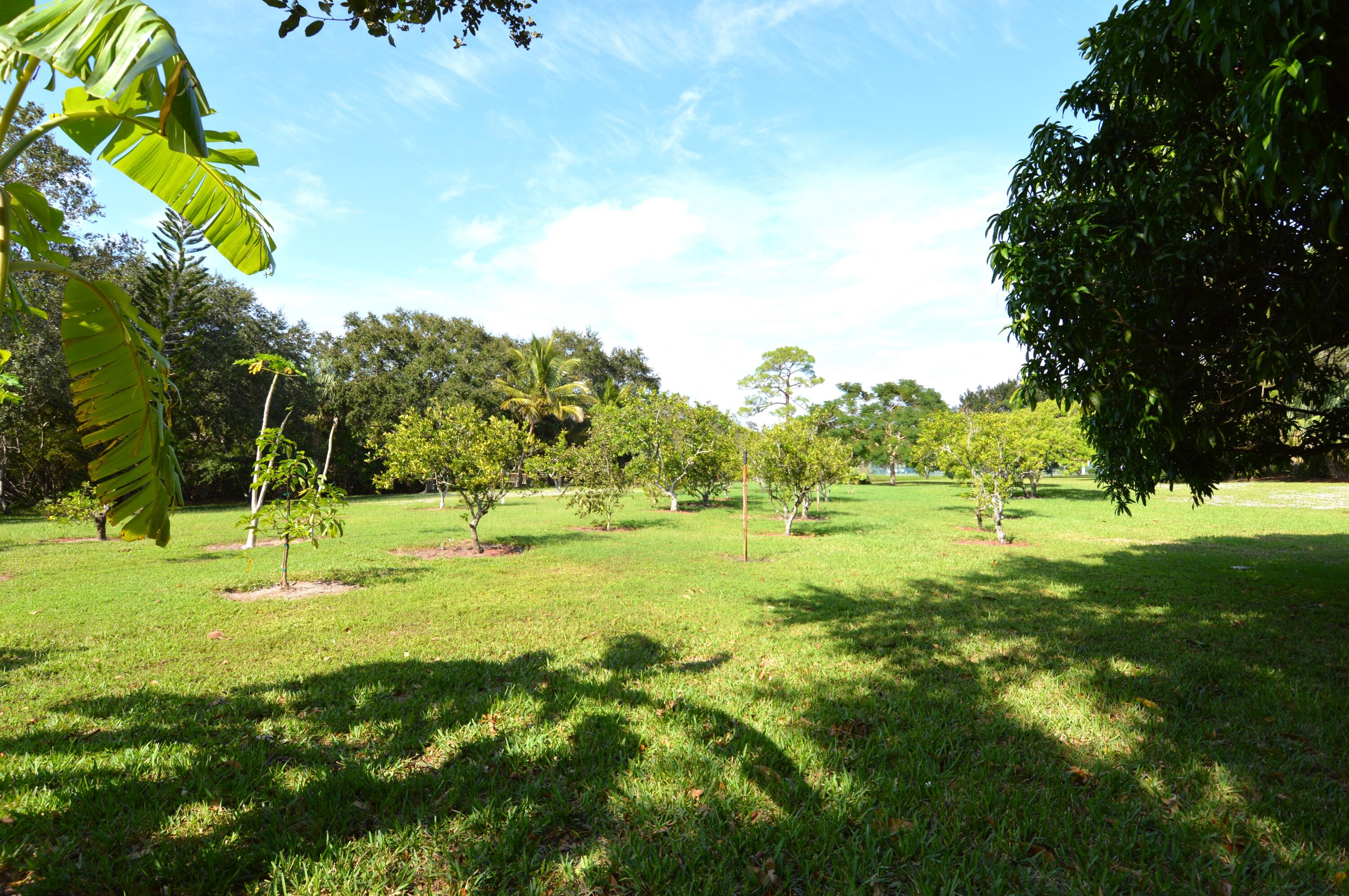 main property photo 42