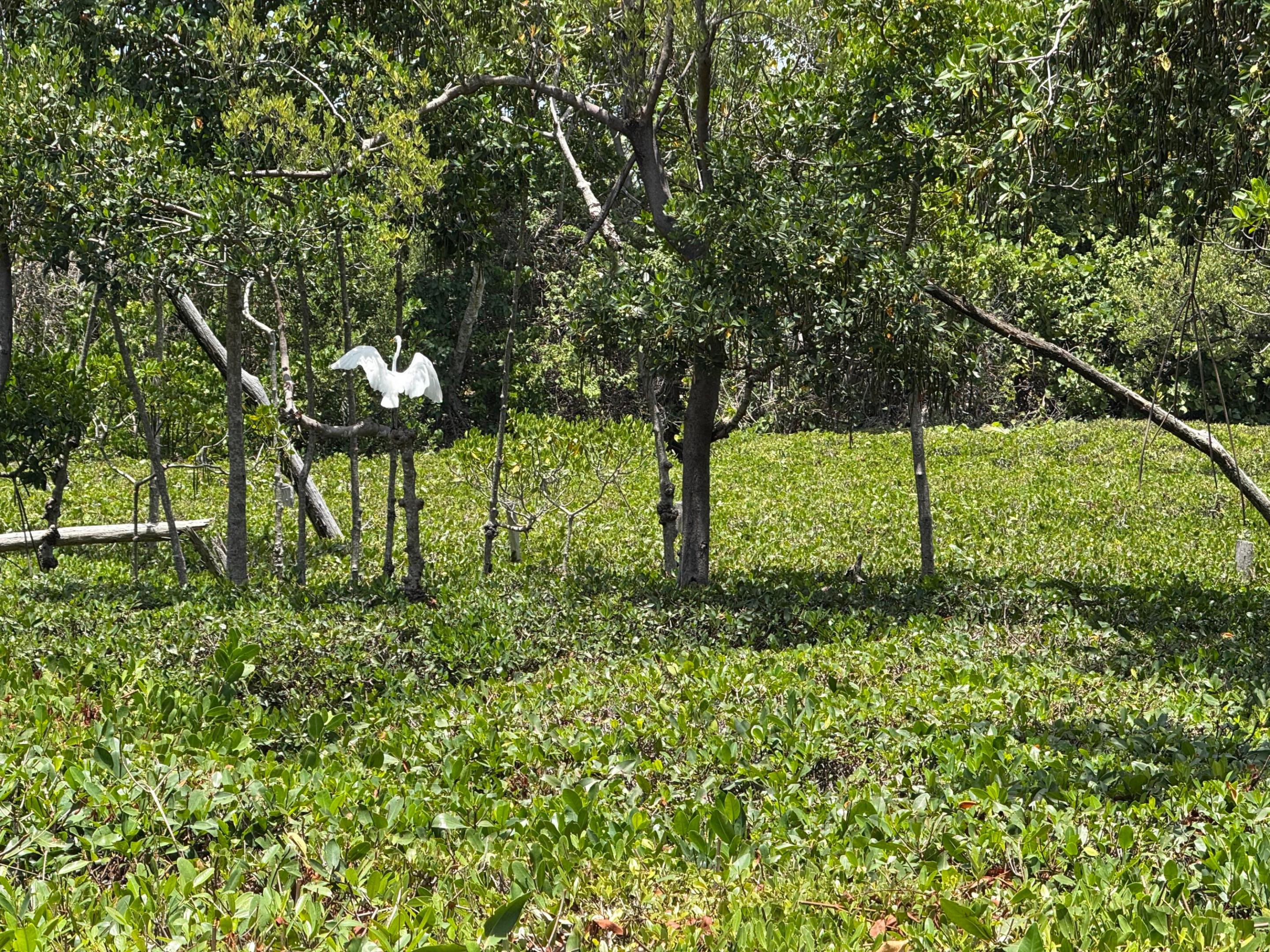 main property photo 73