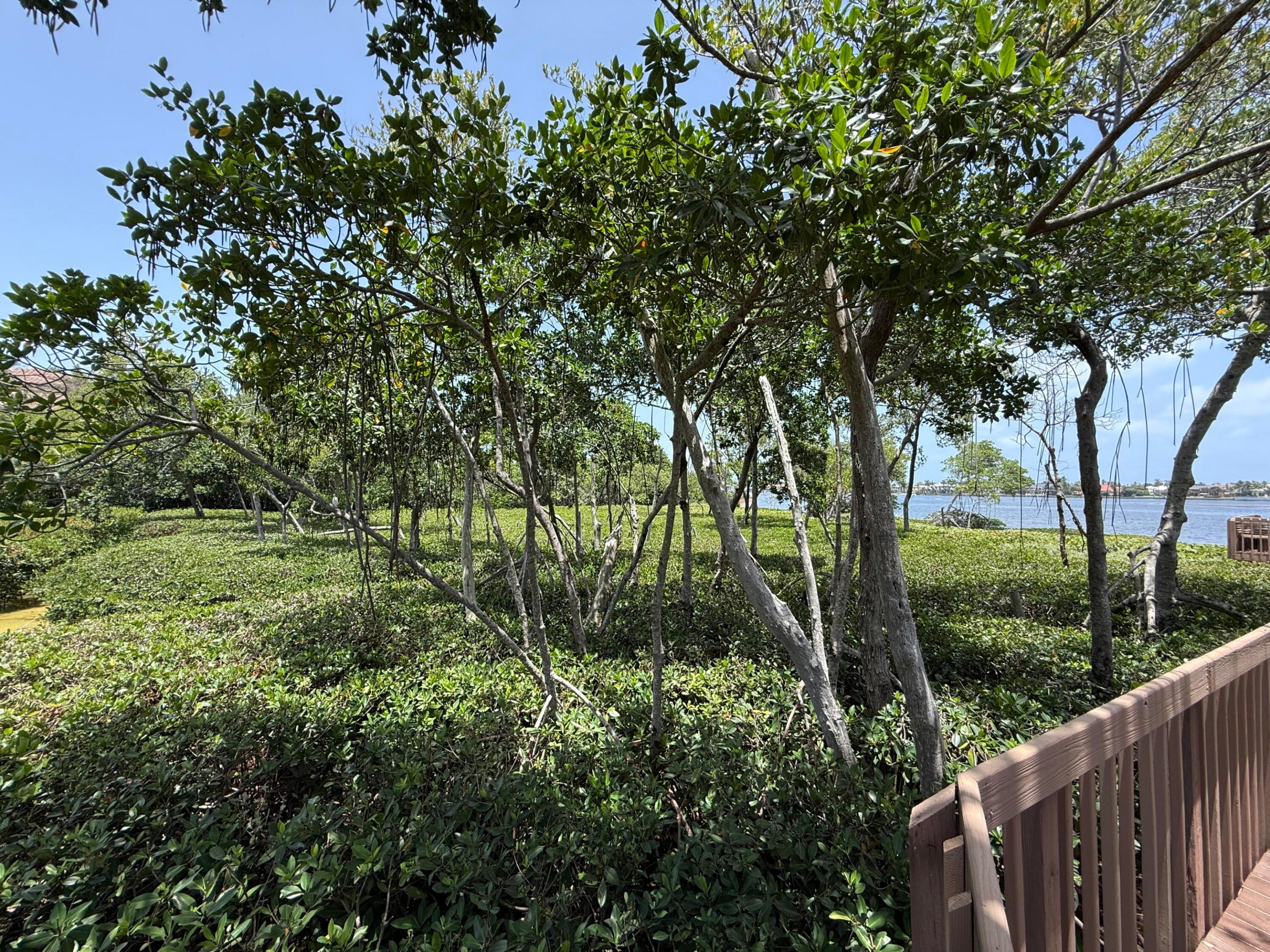 main property photo 75