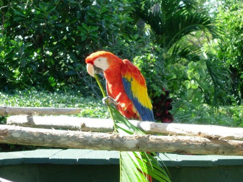 main property photo 72