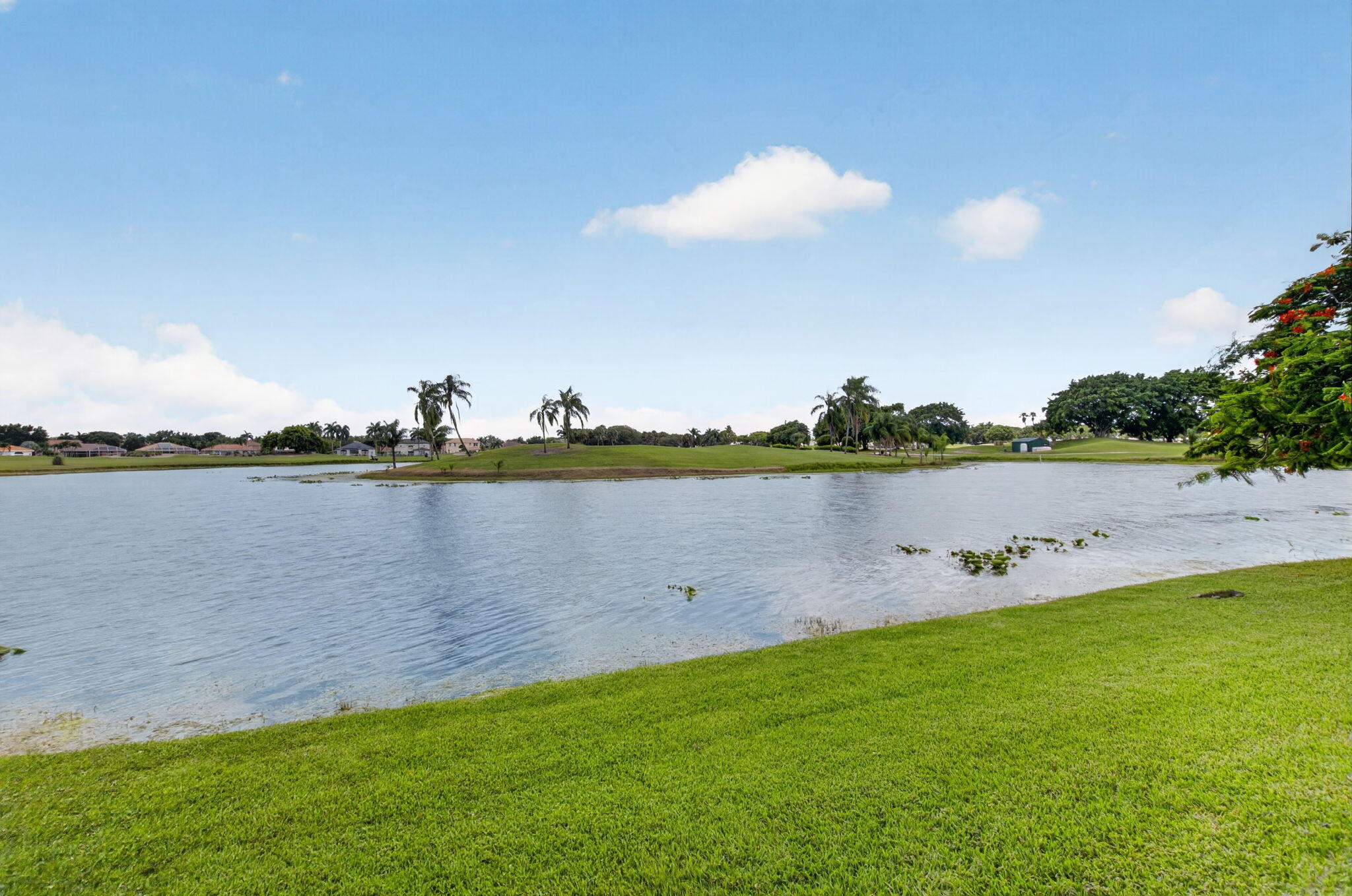 main property photo 48
