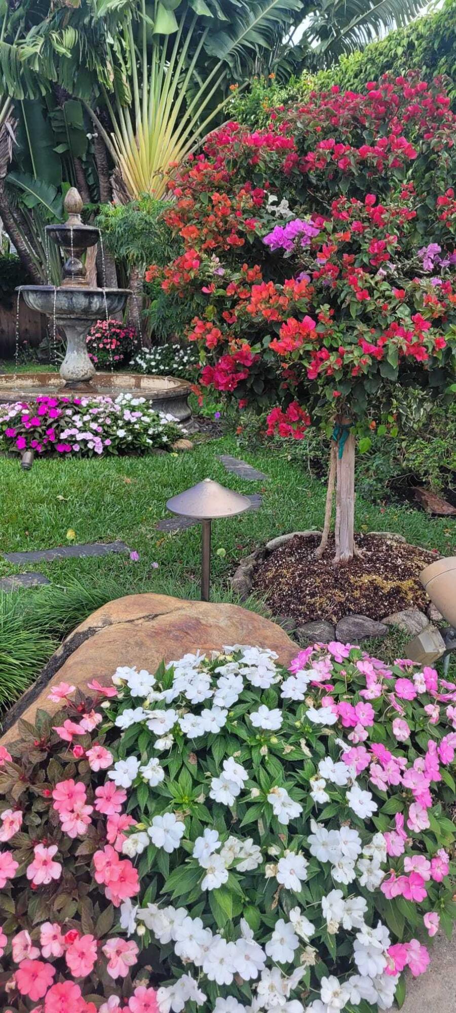 main property photo 47