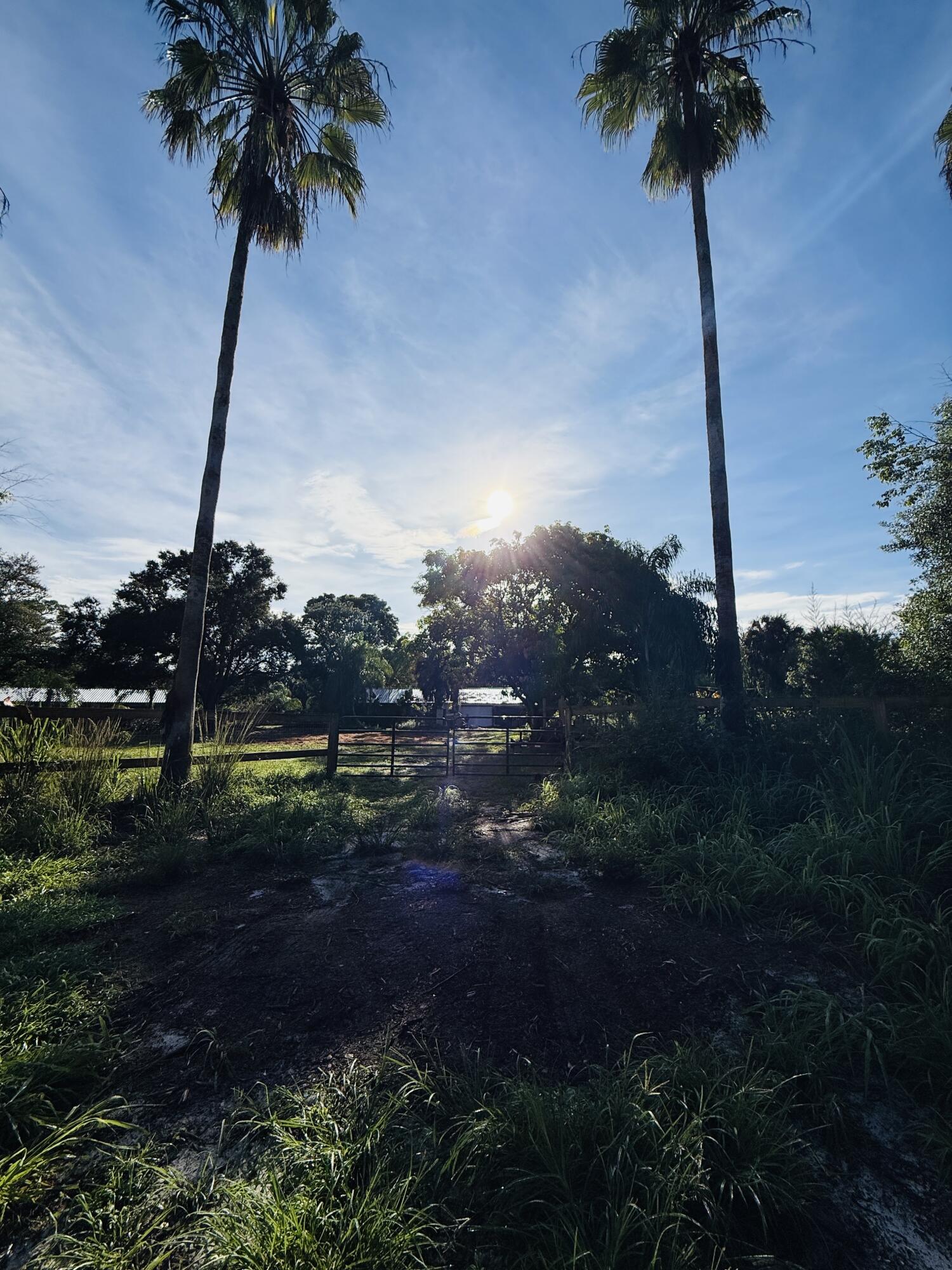 main property photo 52