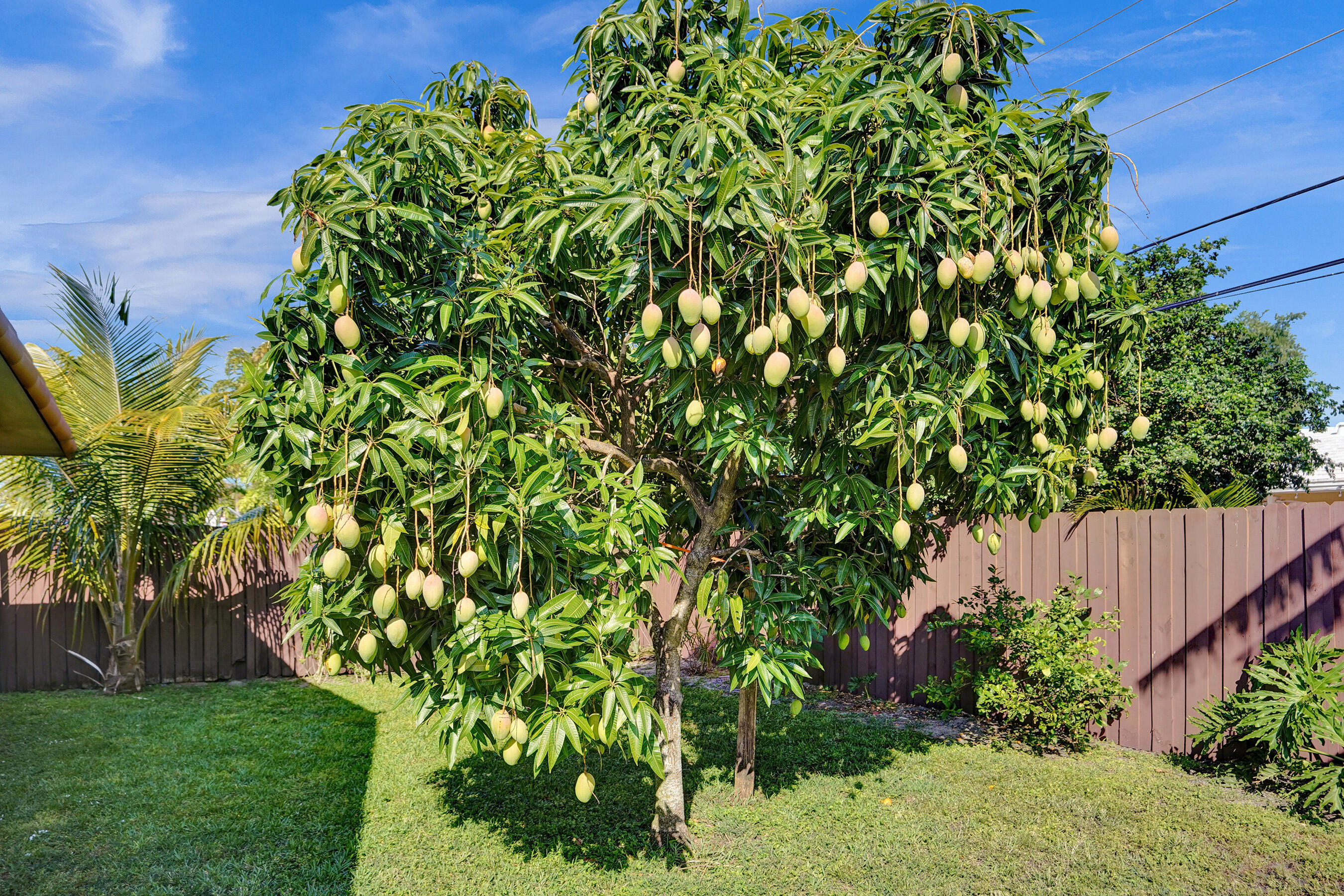 main property photo 58
